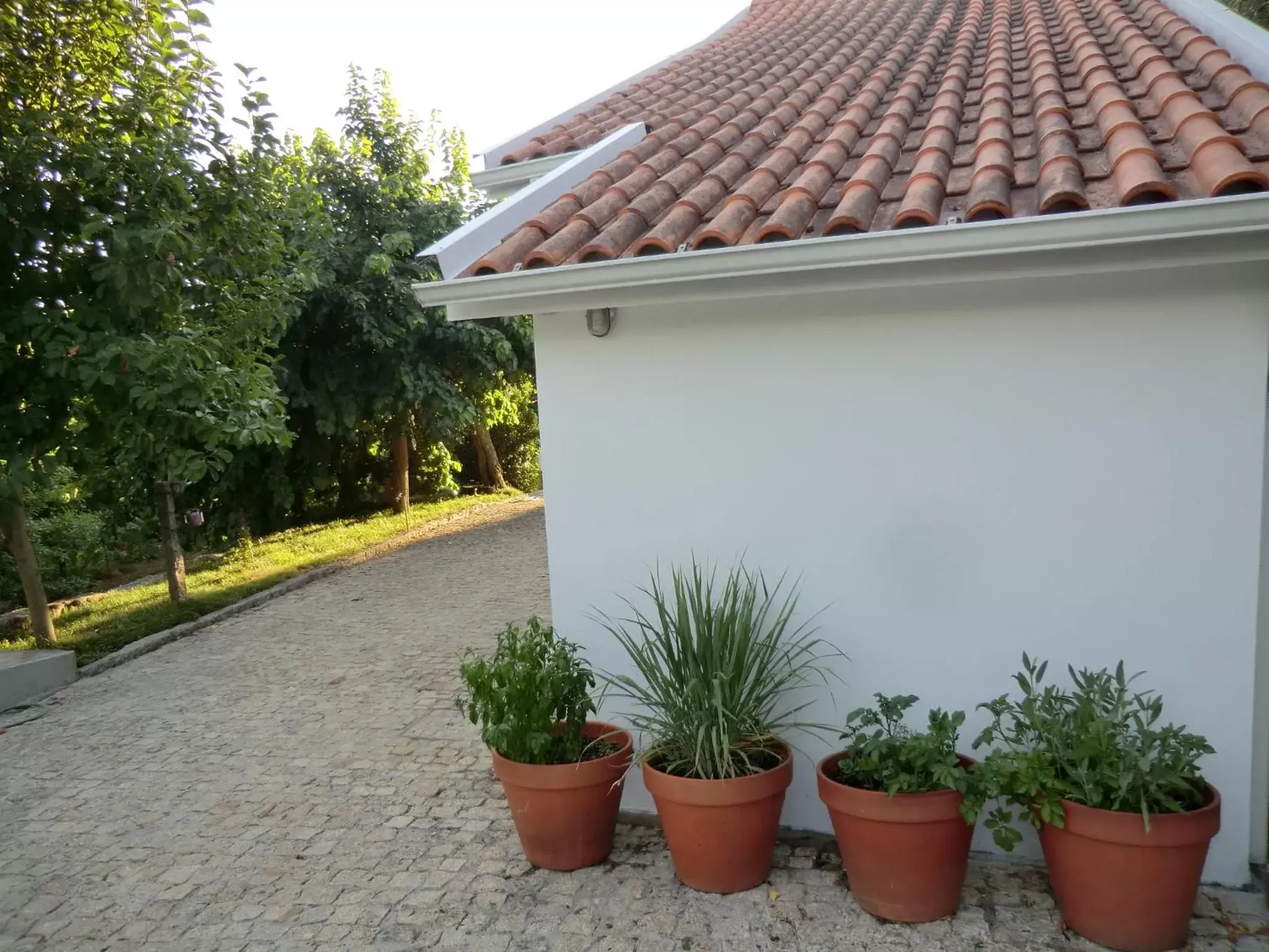 Patio, Property Building in VianasHome