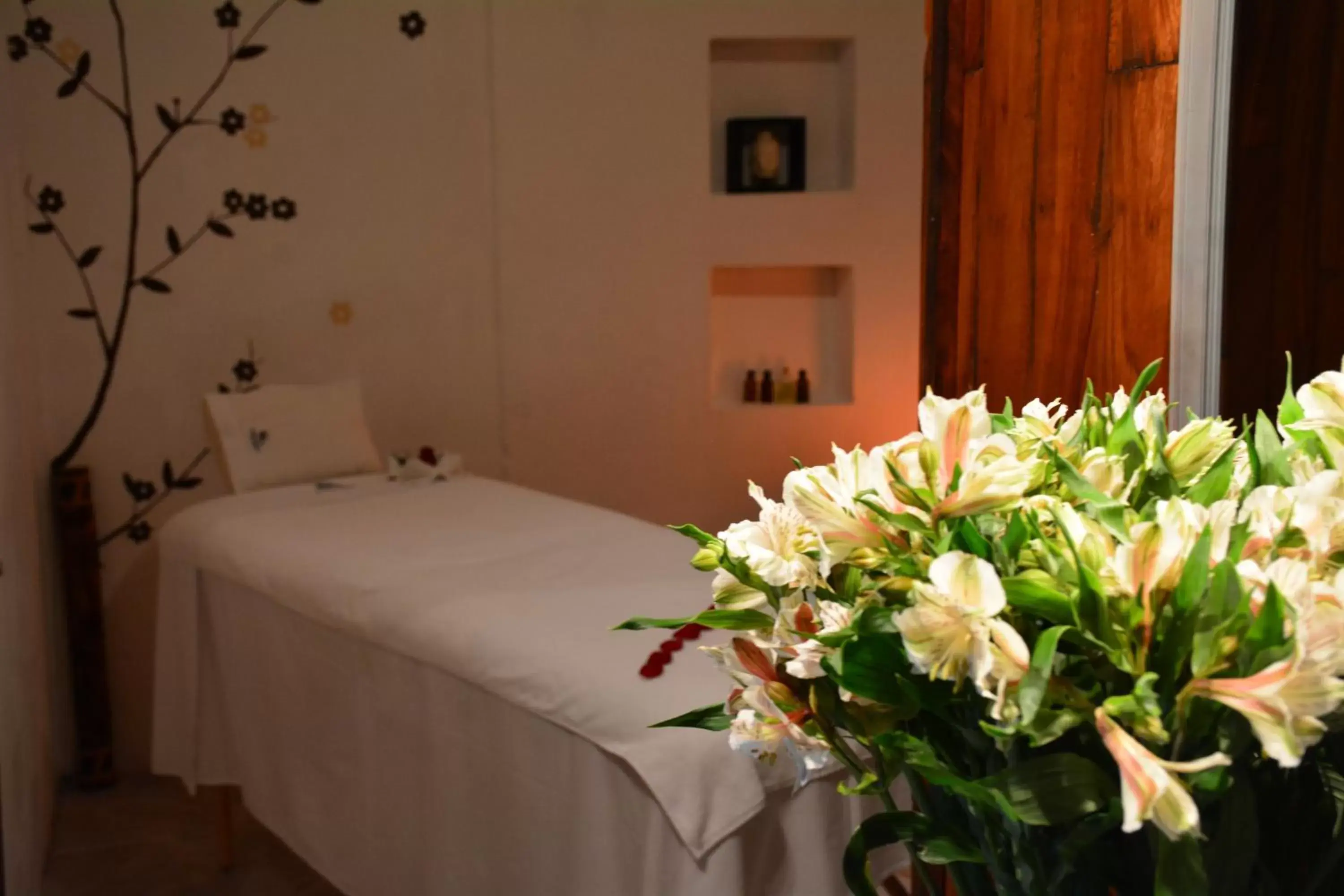 Massage, Bed in Hotel & Spa Doña Urraca San Miguel De Allende