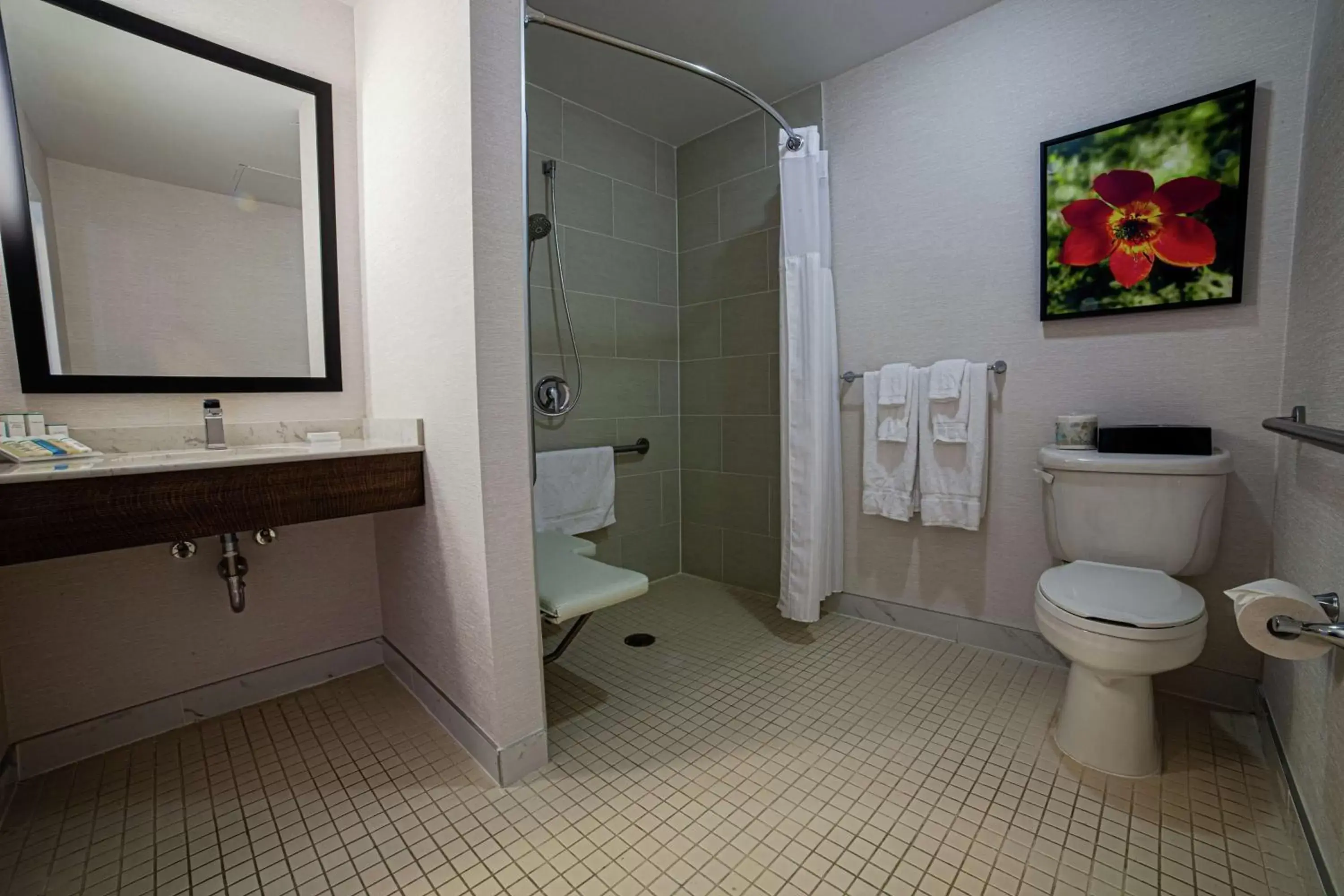 Bathroom in Hilton Garden Inn Montreal Airport