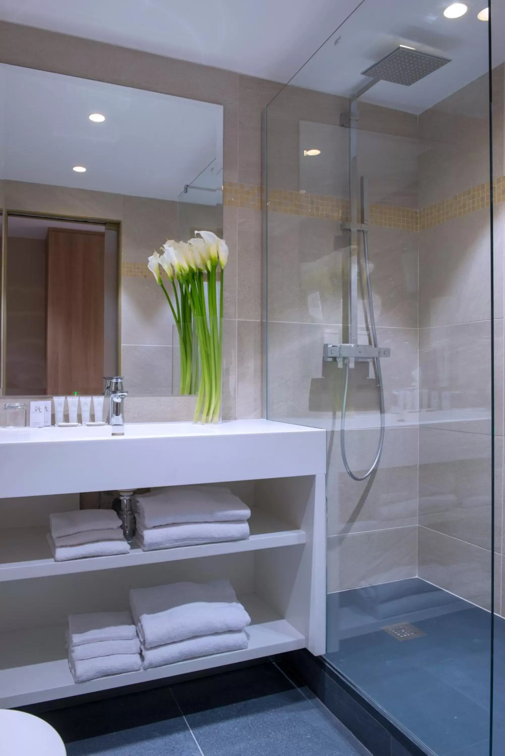 Shower, Bathroom in Hotel Beau Rivage