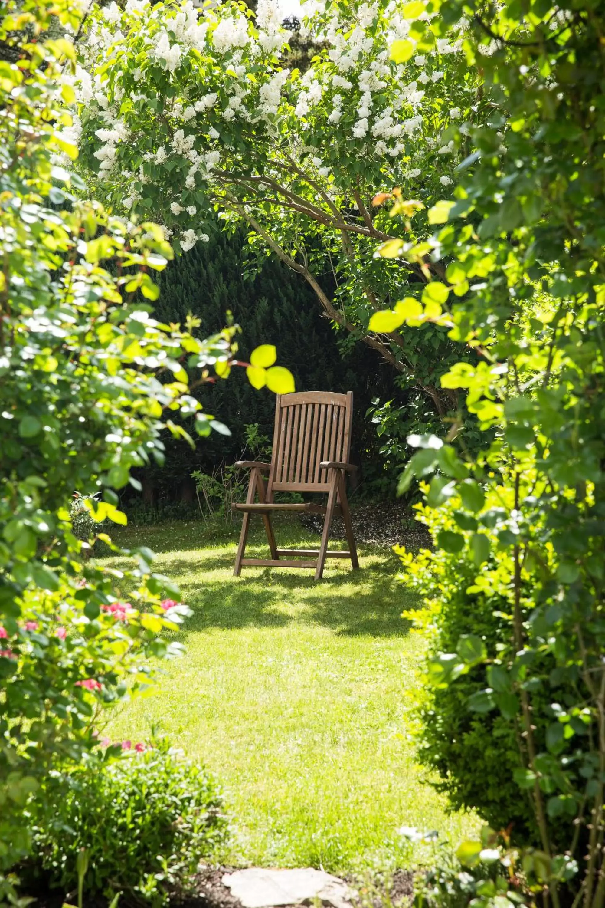 Property building, Garden in Villa Siegfried