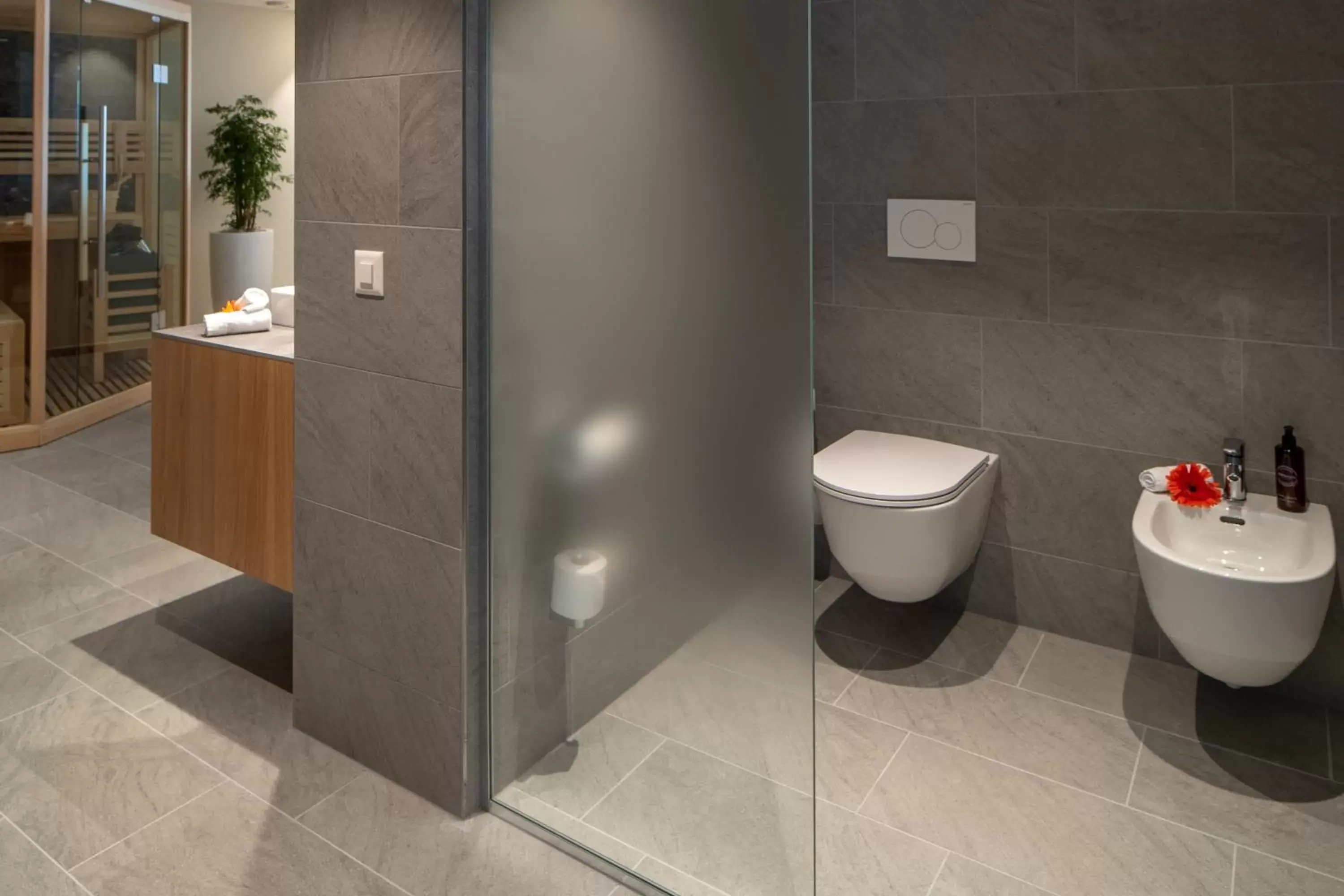 bidet, Bathroom in Hotel Lago Maggiore - Welcome!