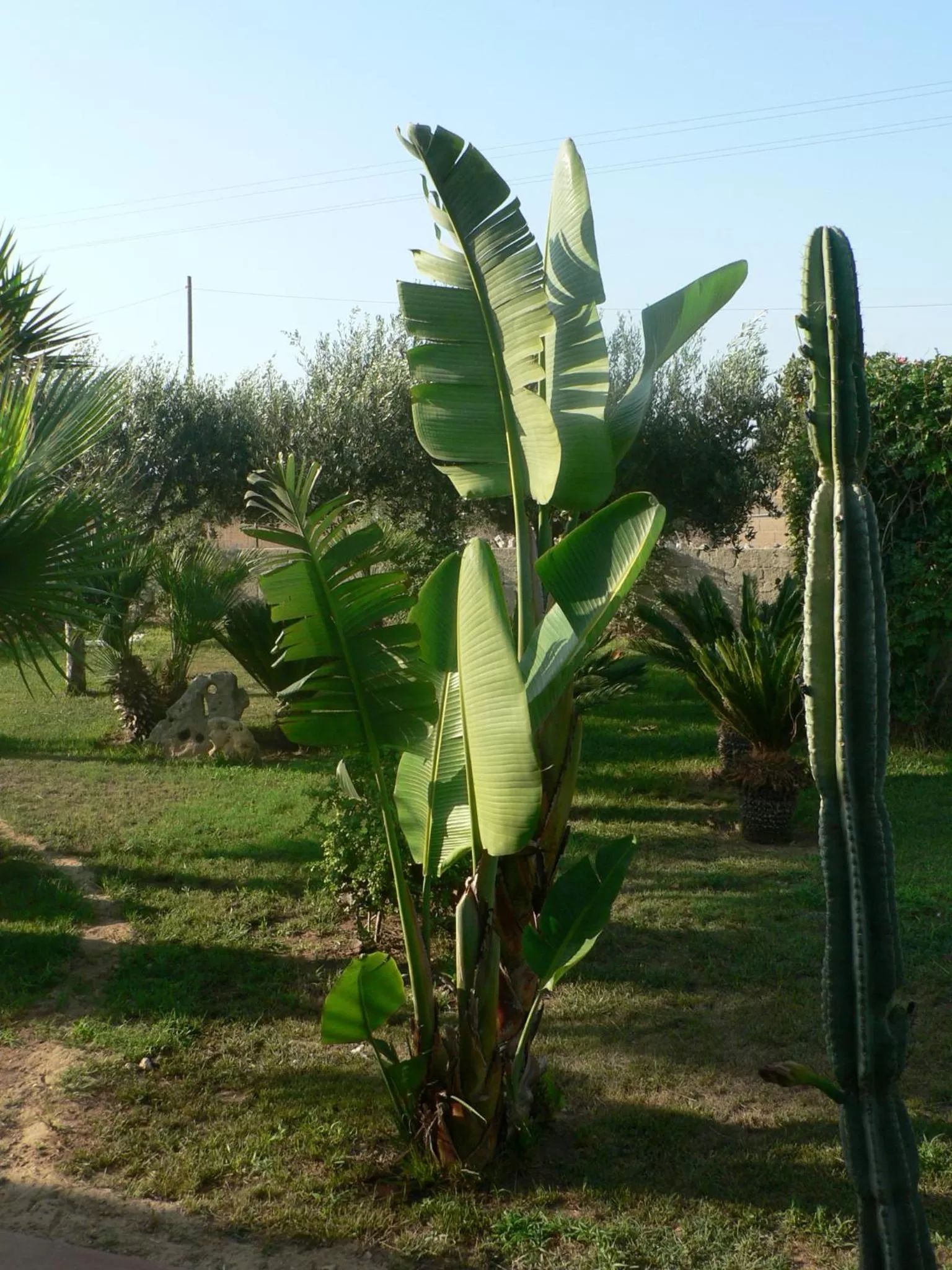 Balcony/Terrace in B&B Villa Francesco