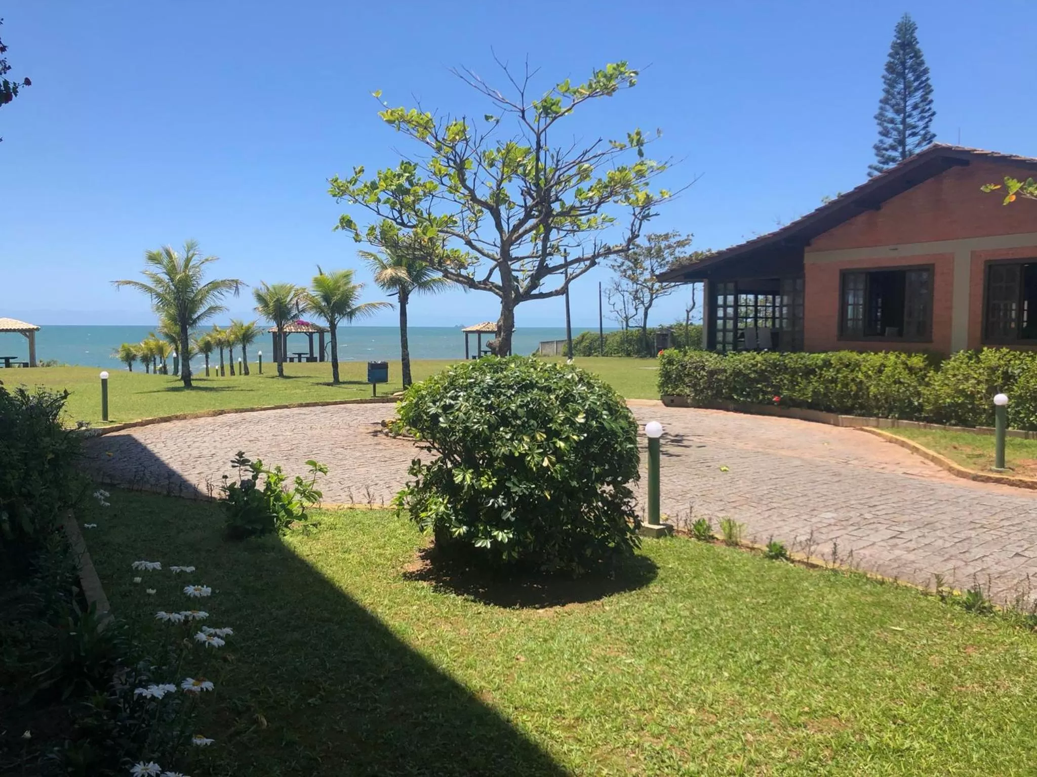 Garden in Flamboyant Hotel