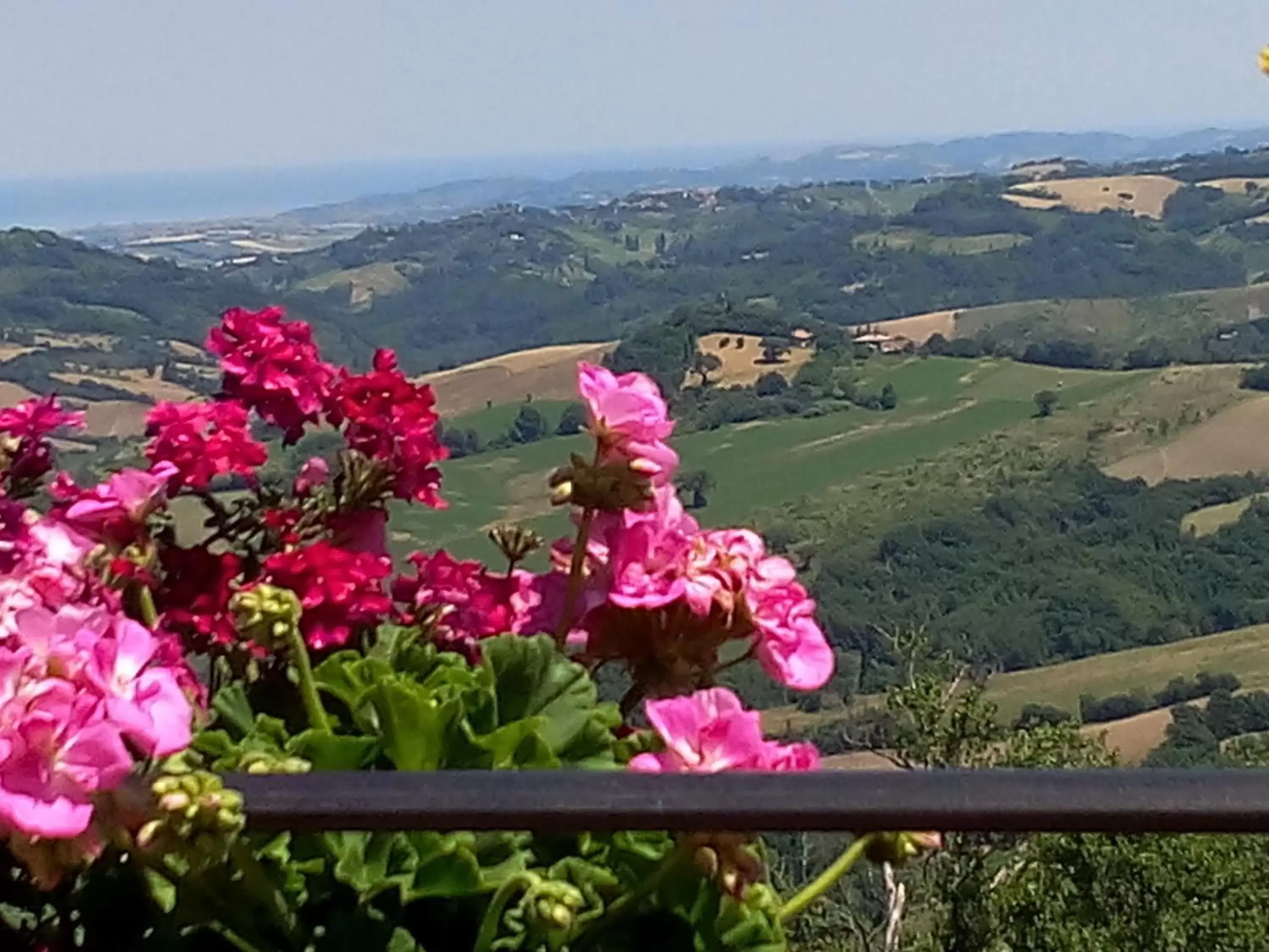 Natural landscape in Albergo Diffuso - Il Poggetto tra Urbino & San Marino