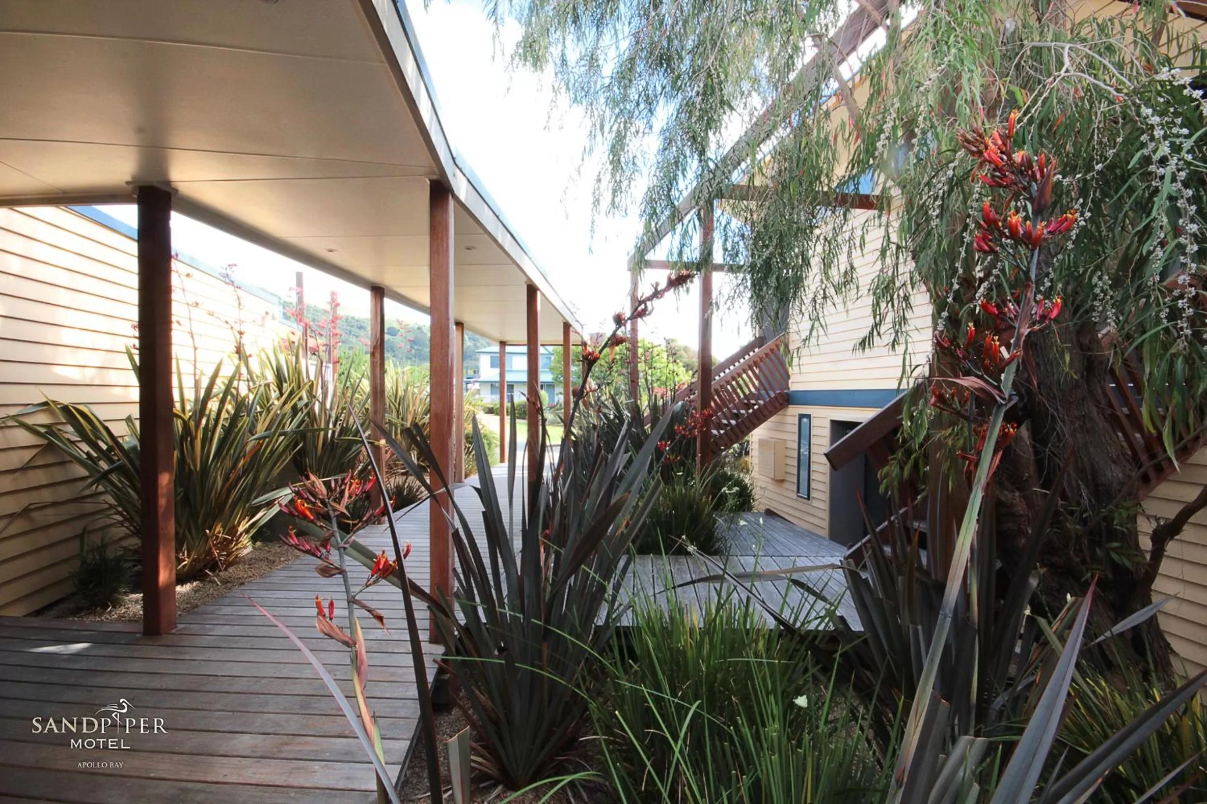Facade/entrance in Sandpiper Motel Apollo Bay