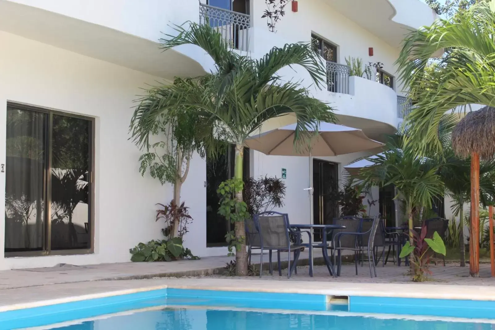 Patio, Swimming Pool in hotel stella maris tulum