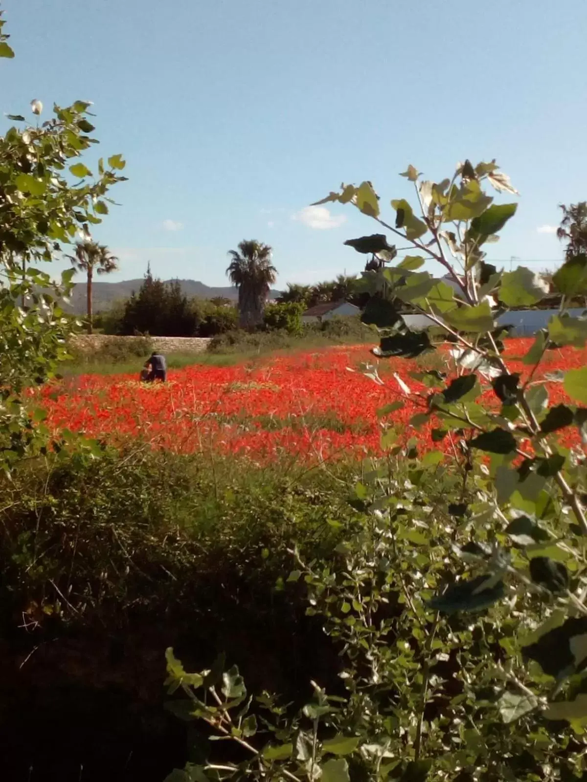 Beautiful Benissa Views