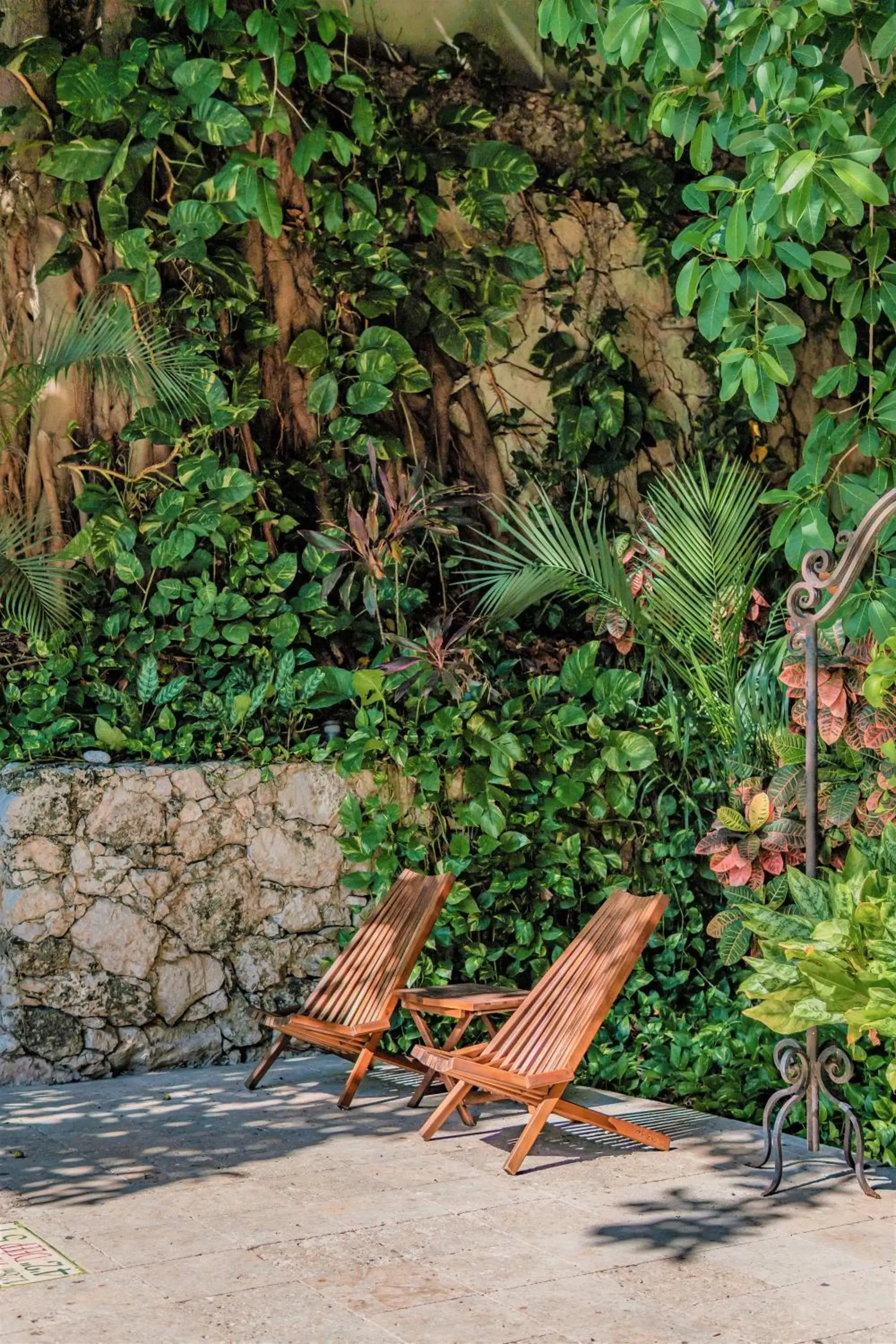 Garden in Maison del Embajador