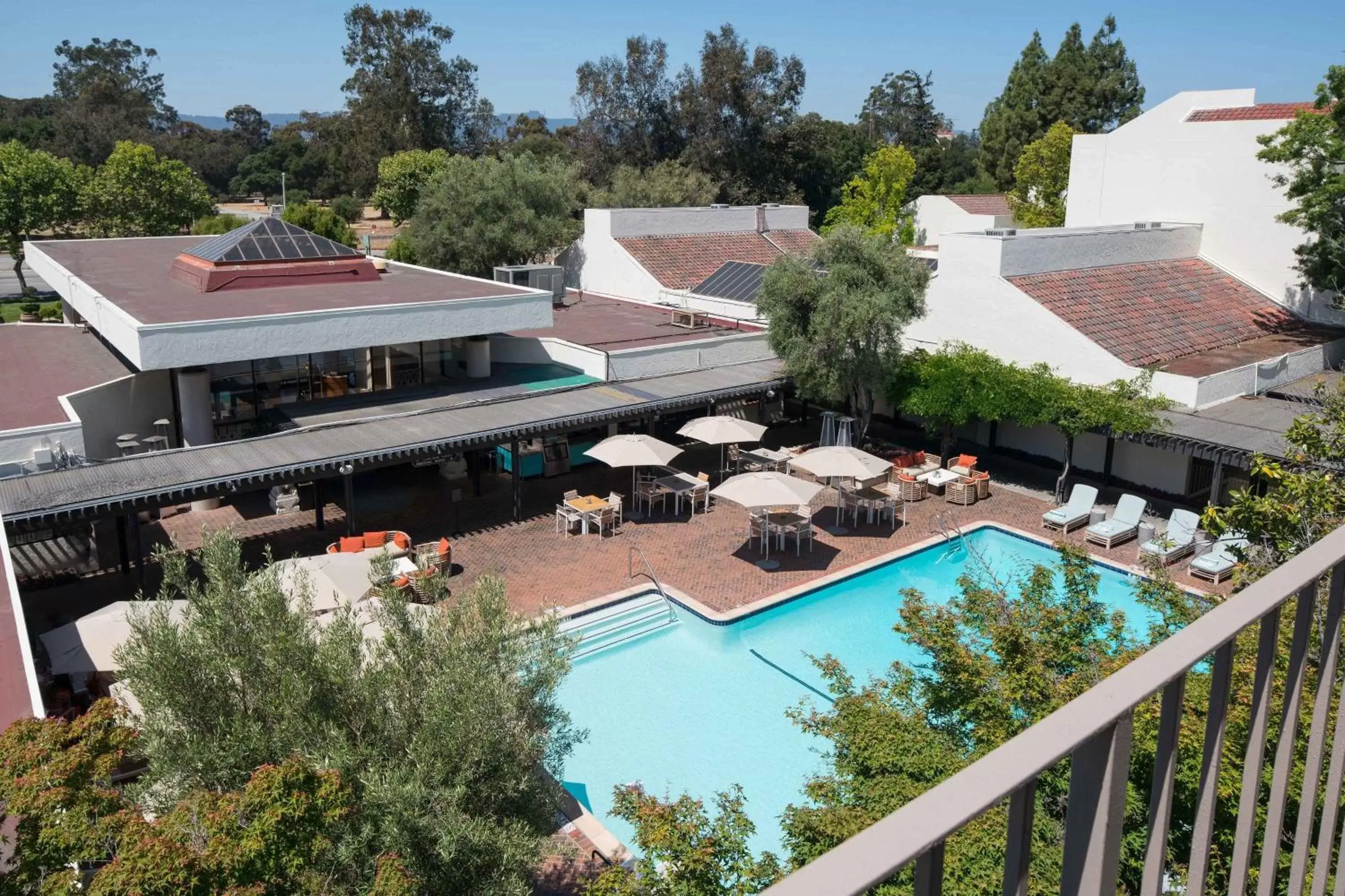 Swimming pool, Pool View in Sheraton Palo Alto Hotel