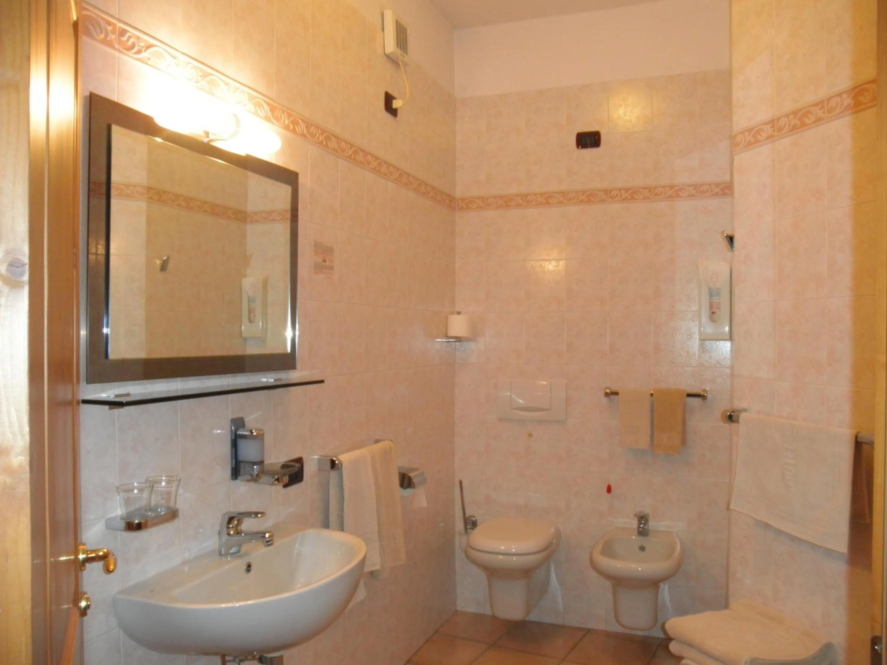 Toilet in Hotel Stelvio