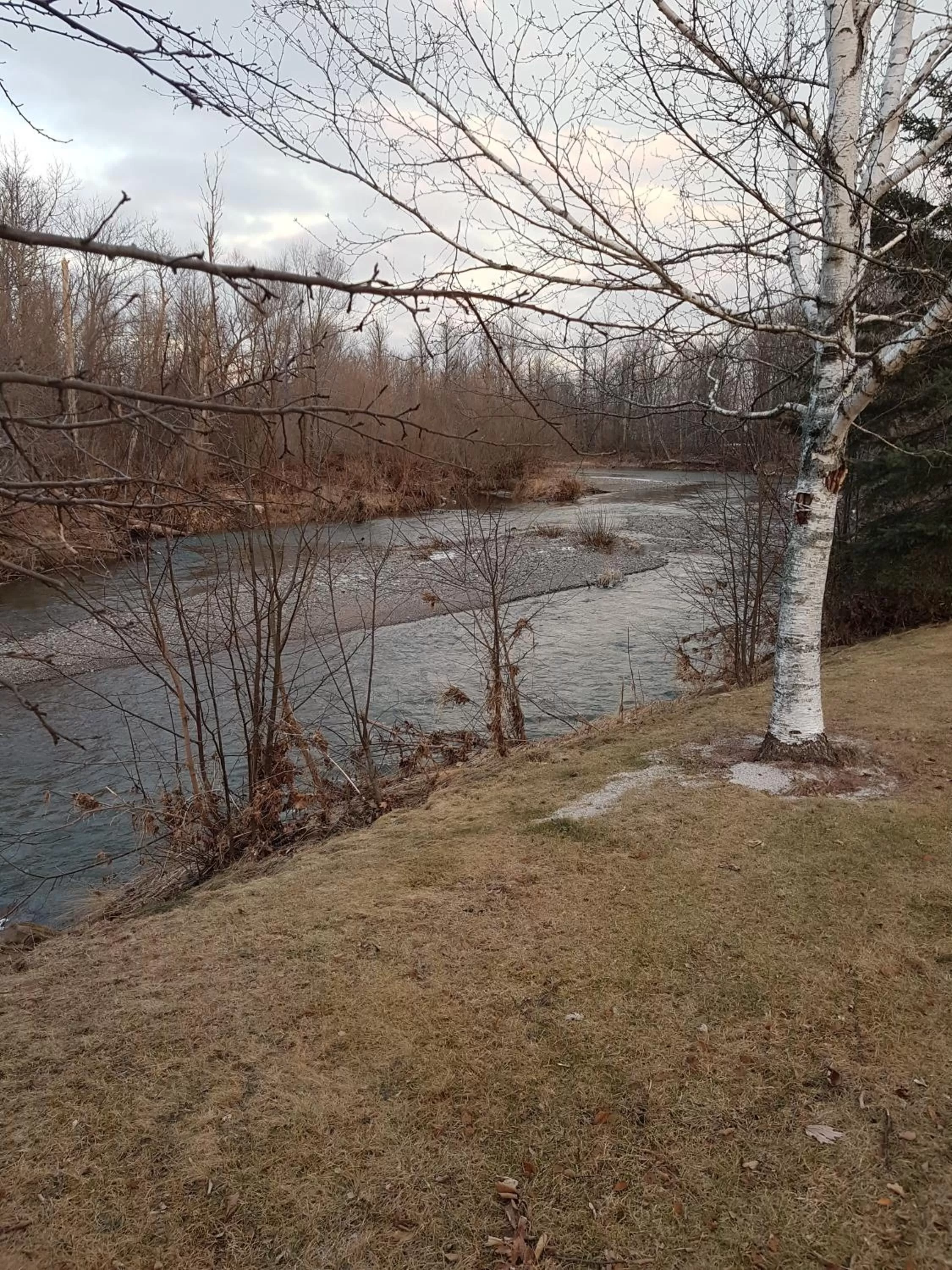 Covered Bridge Inn & Suites