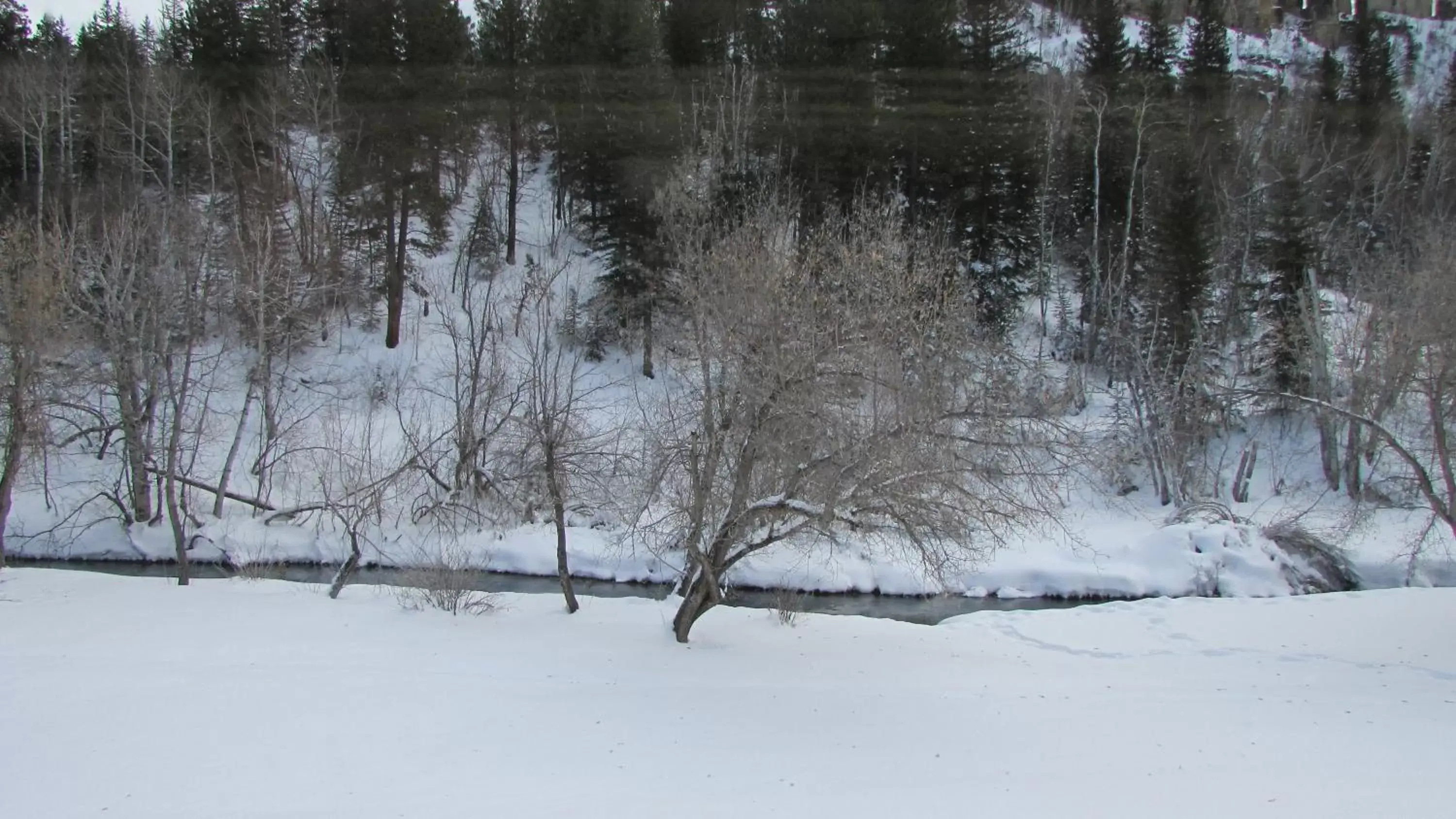 Winter in Spearfish Canyon Lodge