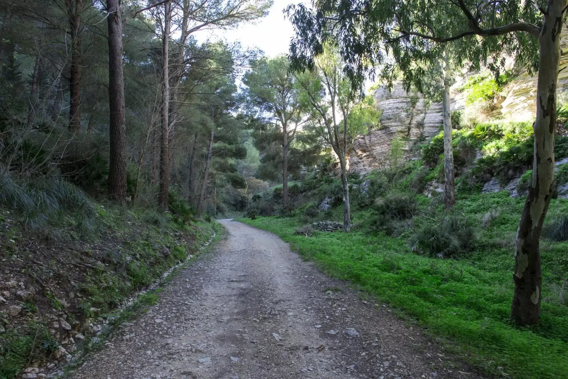 Natural landscape in La Dimora Di Segesta B&B