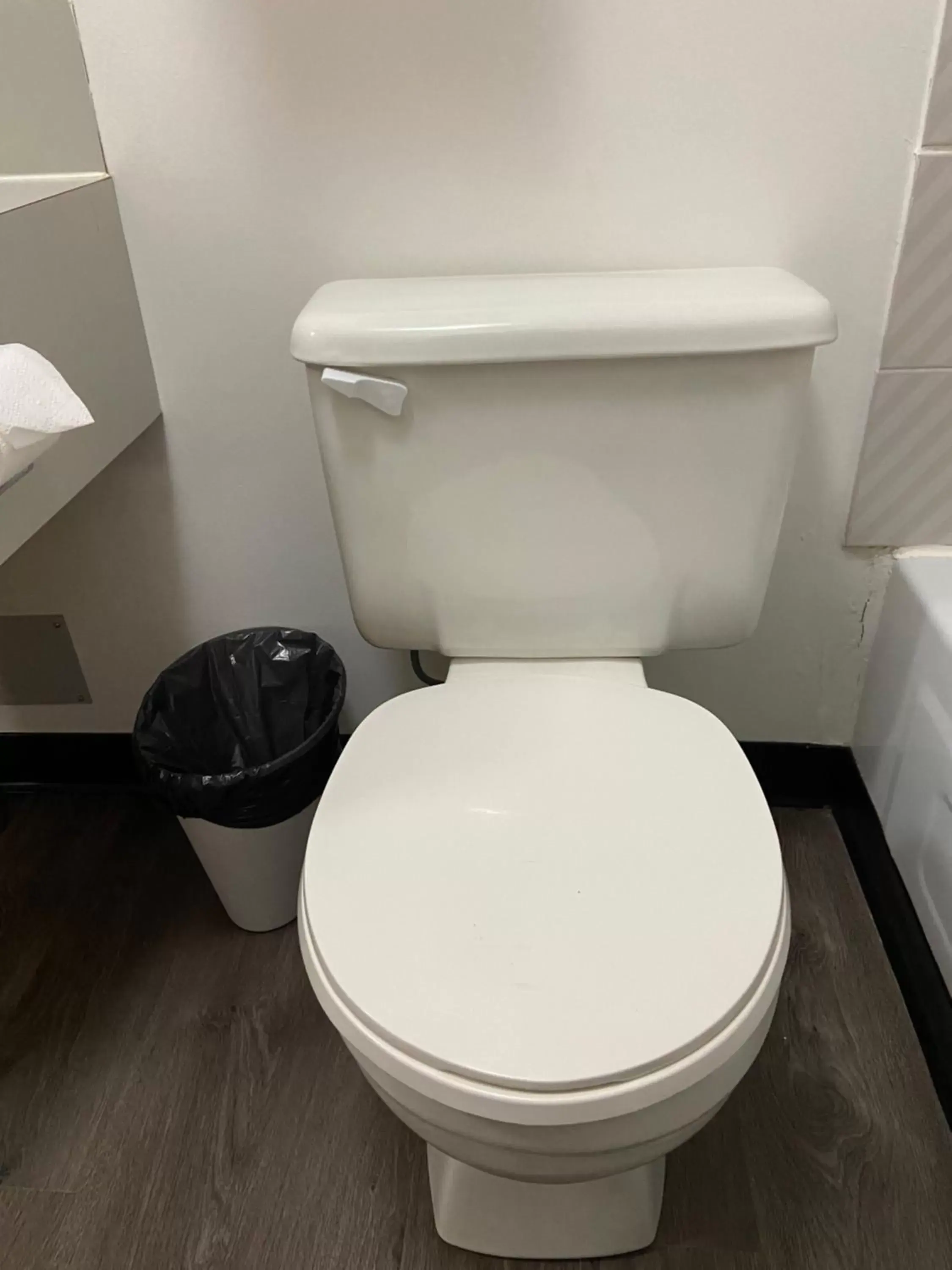 Toilet, Bathroom in Mountain View Motel