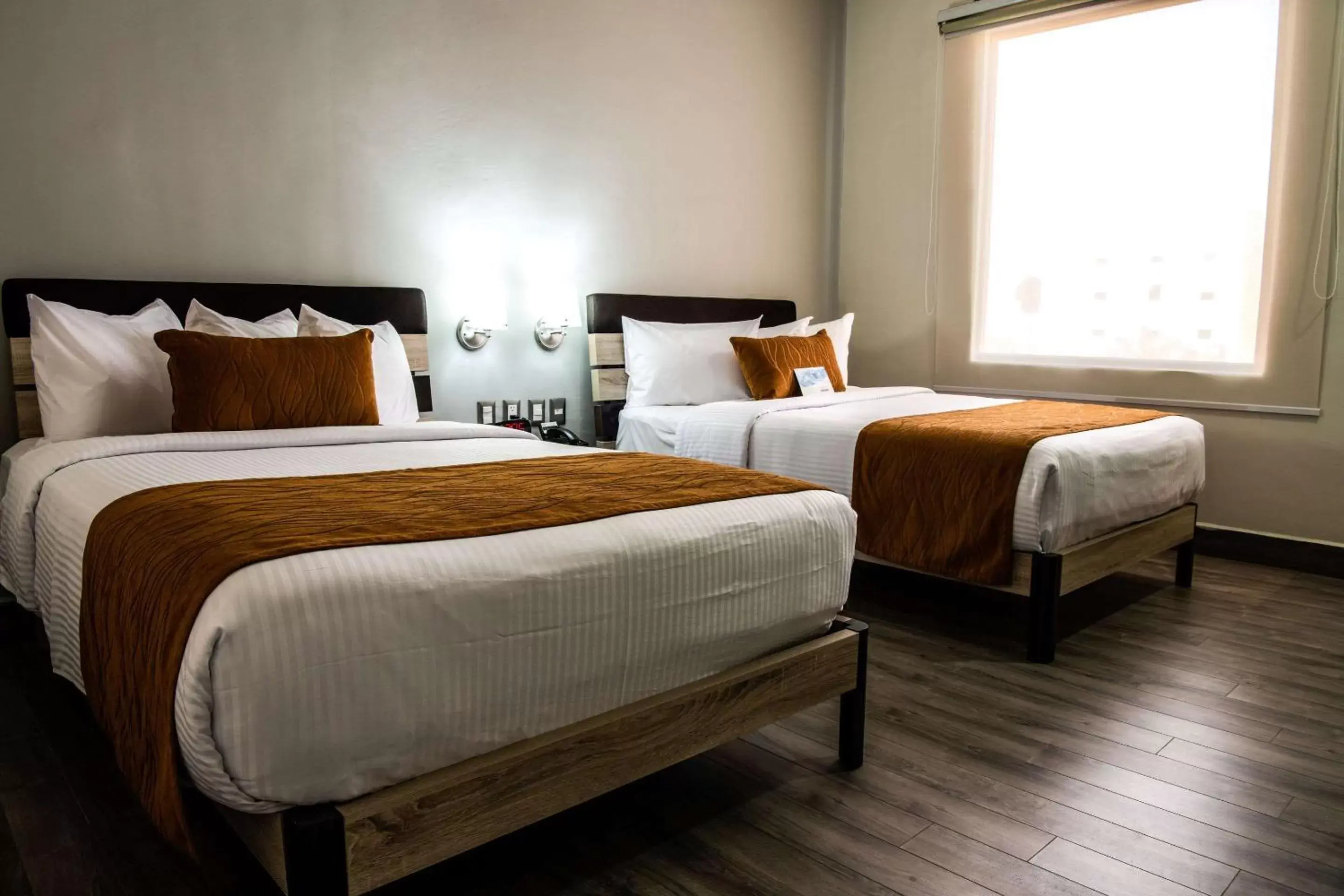 Photo of the whole room, Bed in Comfort Inn Irapuato