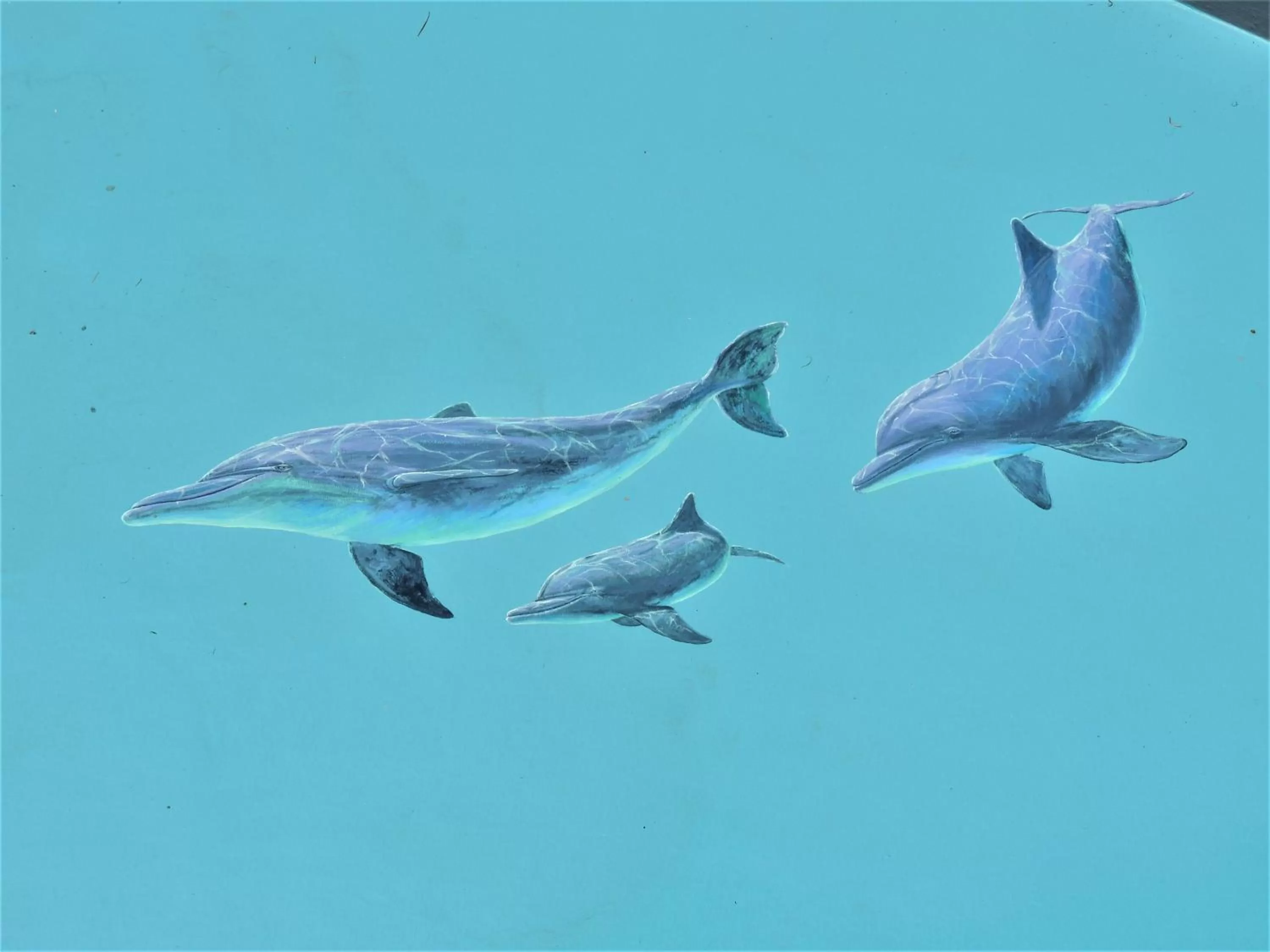 Property building in Riviera Resort