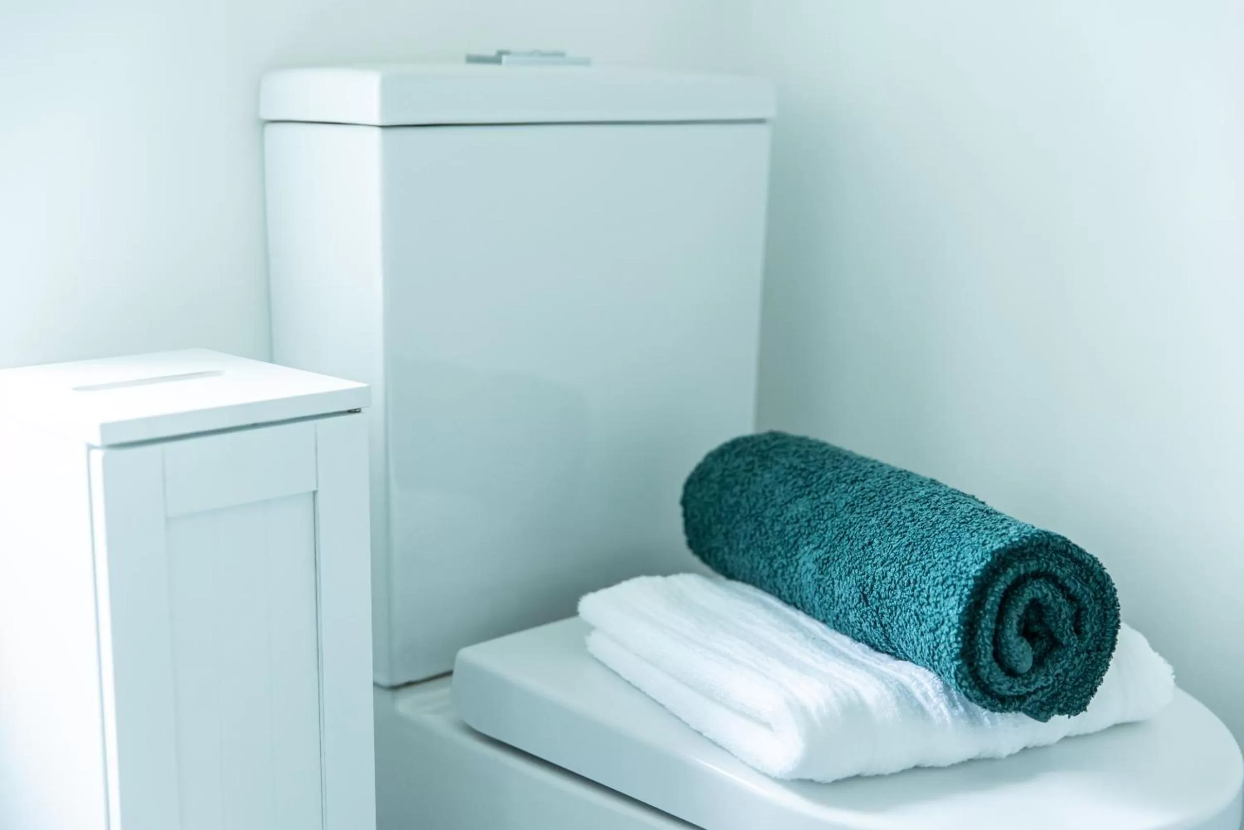 Bathroom, Bed in Entire family home , large rear garden and free parking