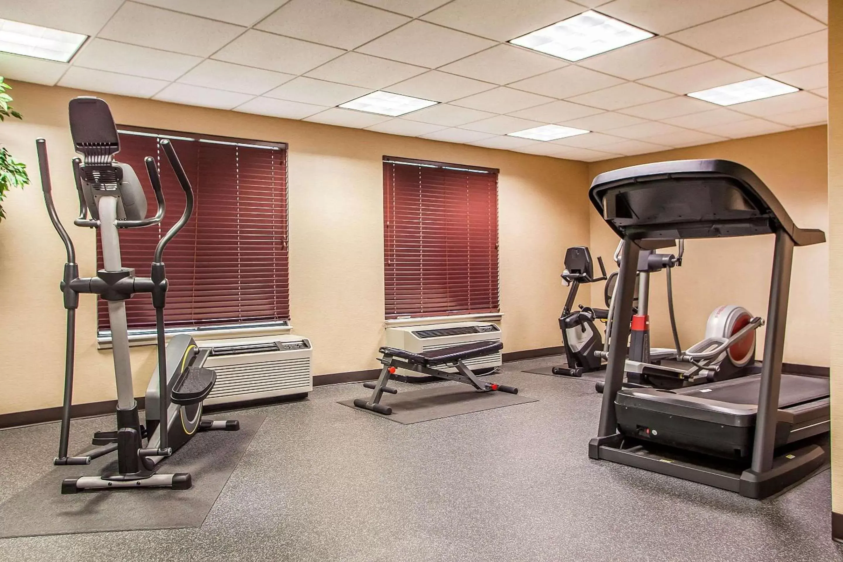 Fitness centre/facilities, Fitness Center/Facilities in Comfort Inn & Suites Somerset - New Brunswick