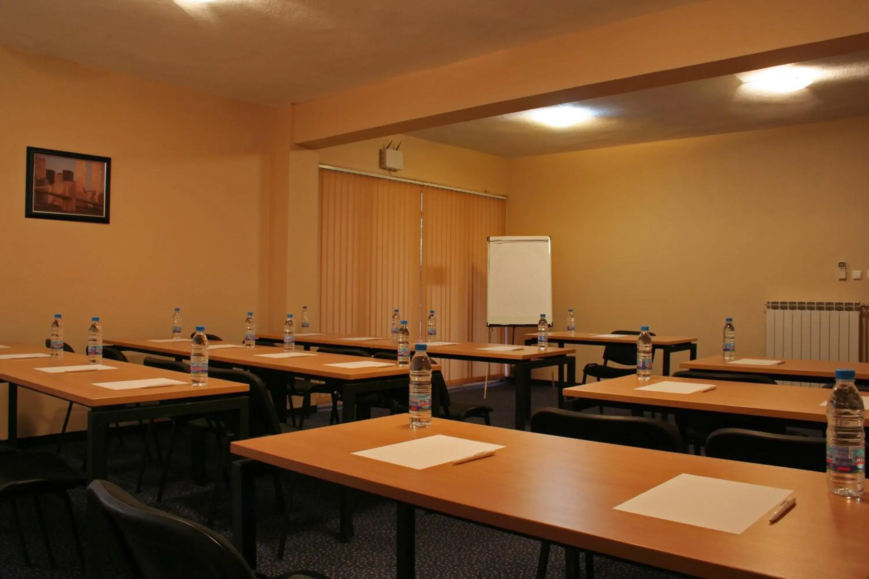 Business facilities in Hotel Brod