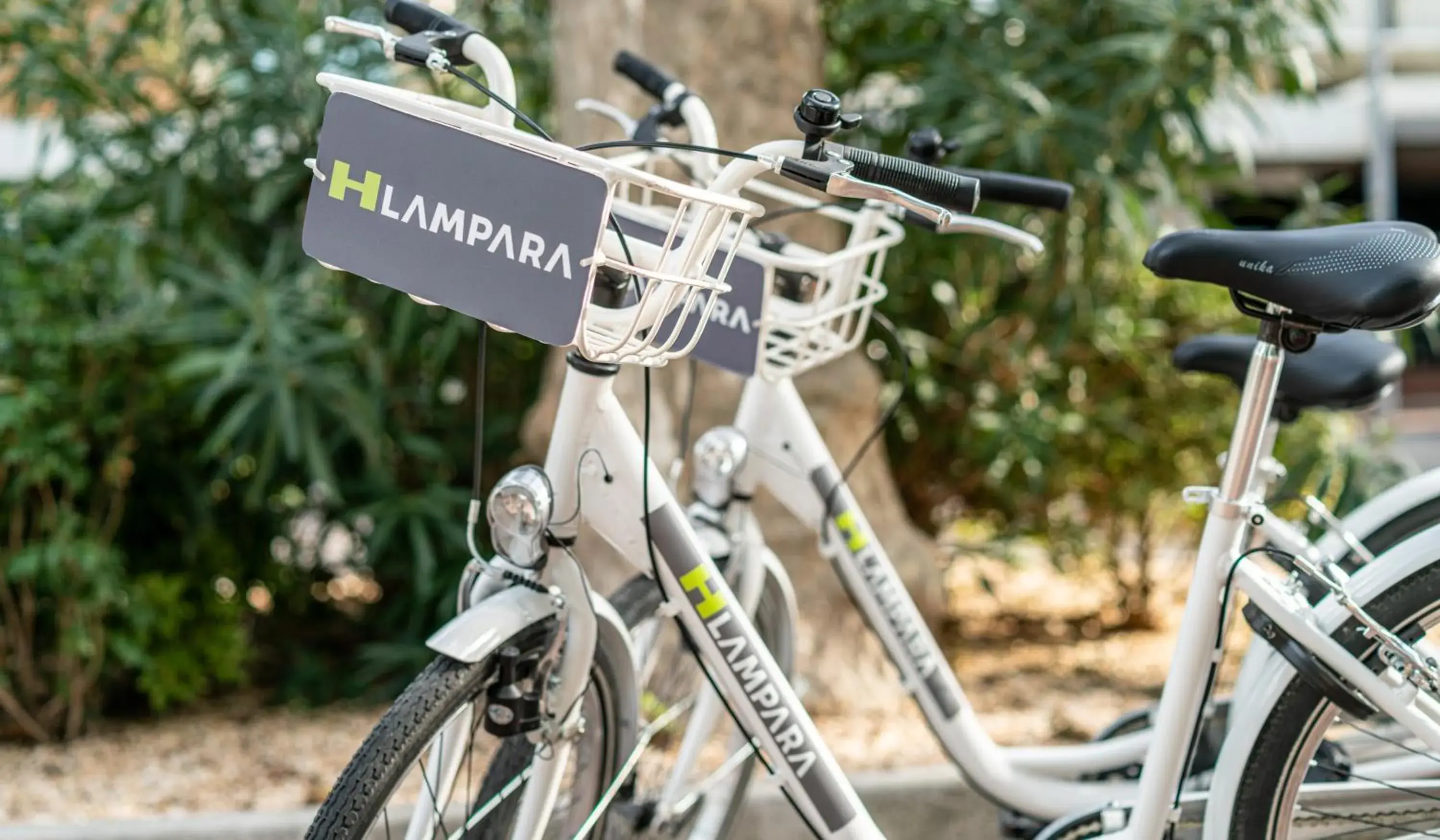 Cycling, Other Activities in Hotel Lampara