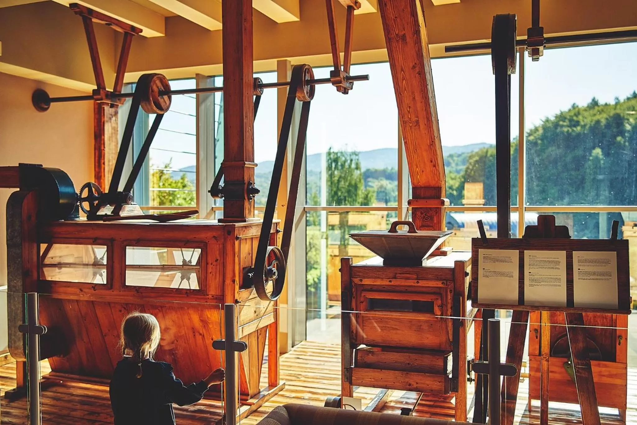 View (from property/room) in Młyn Jacka Hotel & Spa