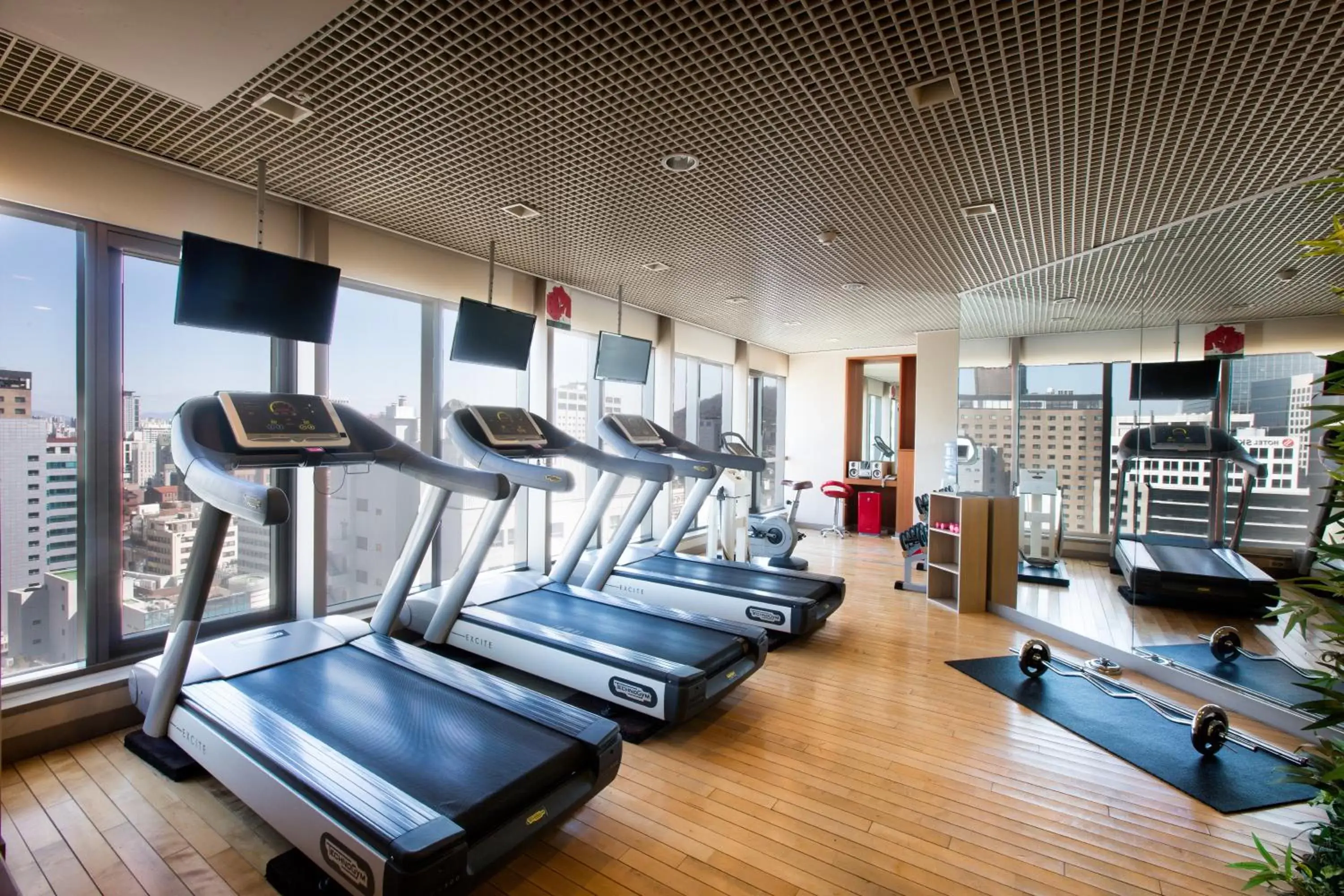 Fitness centre/facilities, Fitness Center/Facilities in Ibis Ambassador Myeongdong