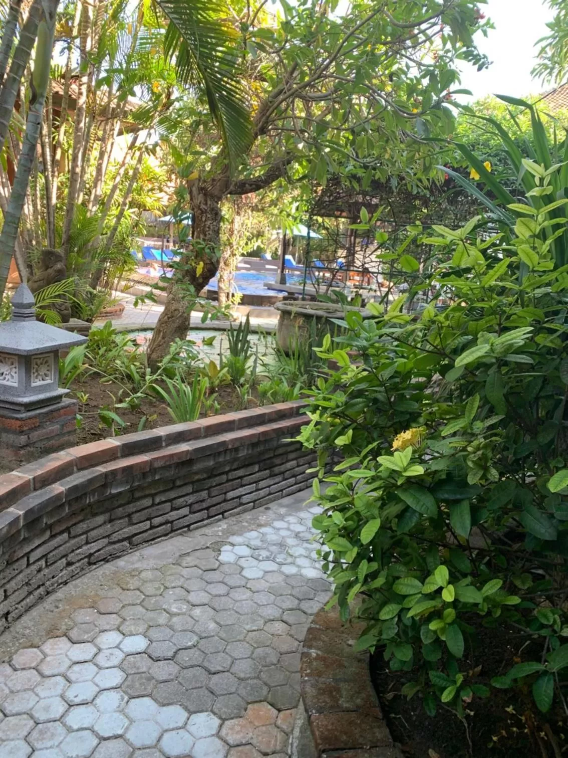 Swimming pool in Fat Yogi Cottages