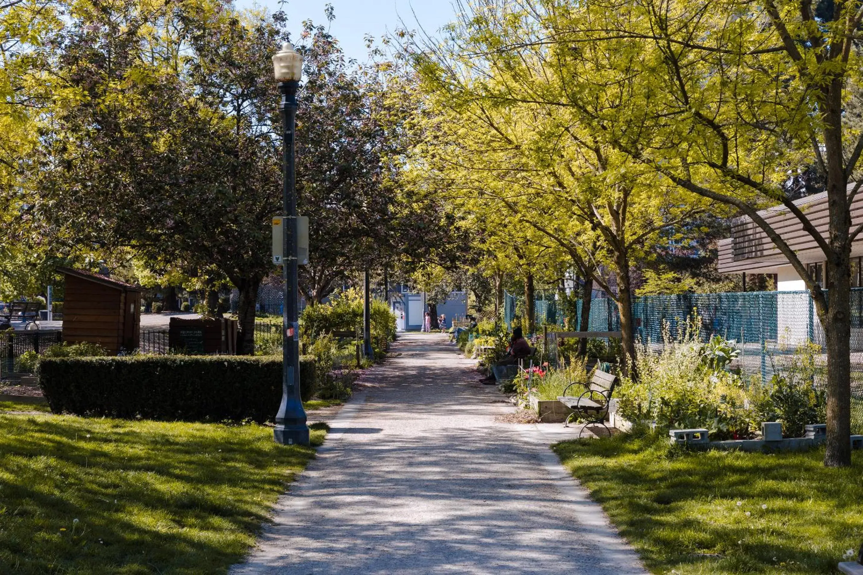 Natural landscape, Garden in Sonder The Sunset