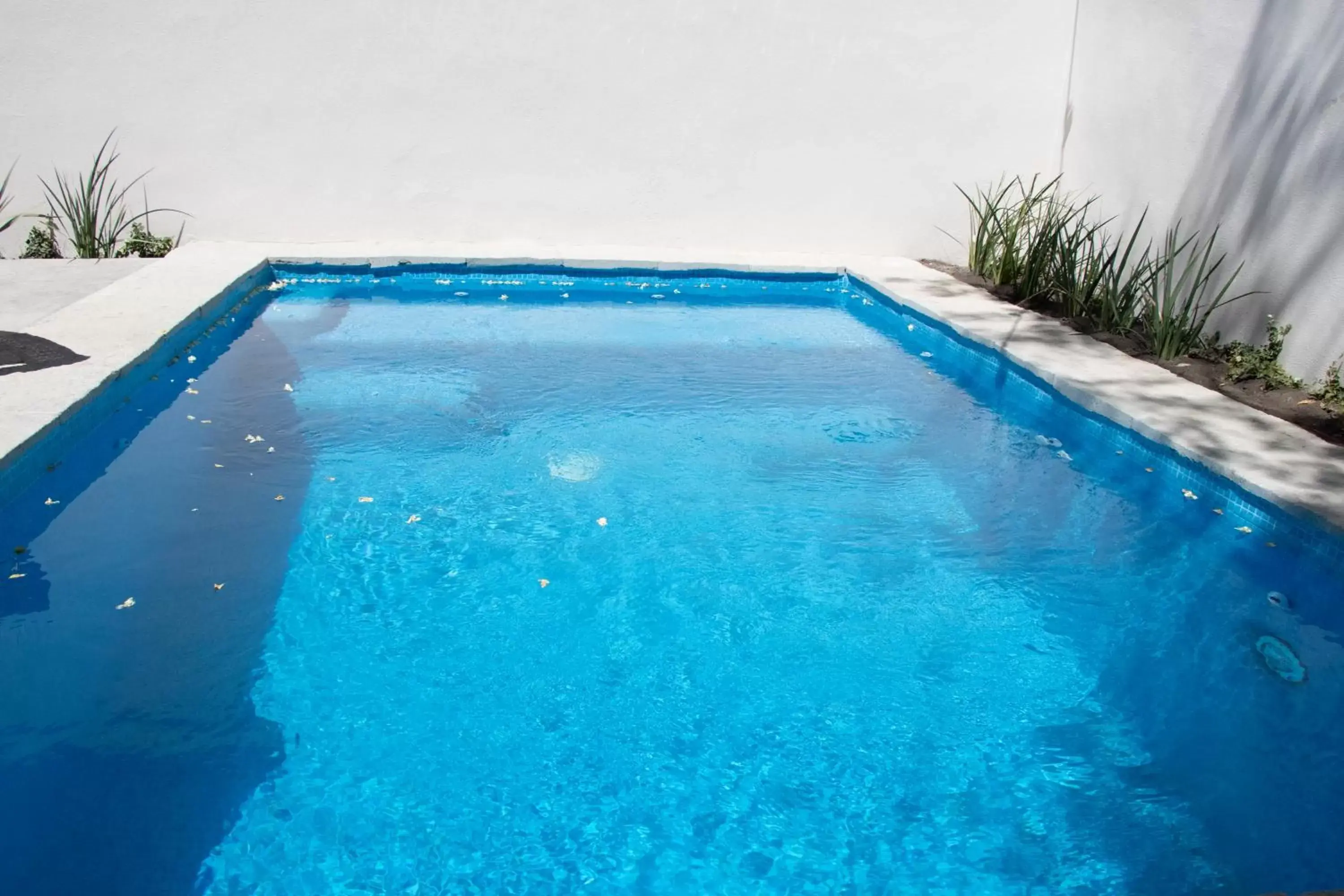 Swimming Pool in Playa Azul Sayulita