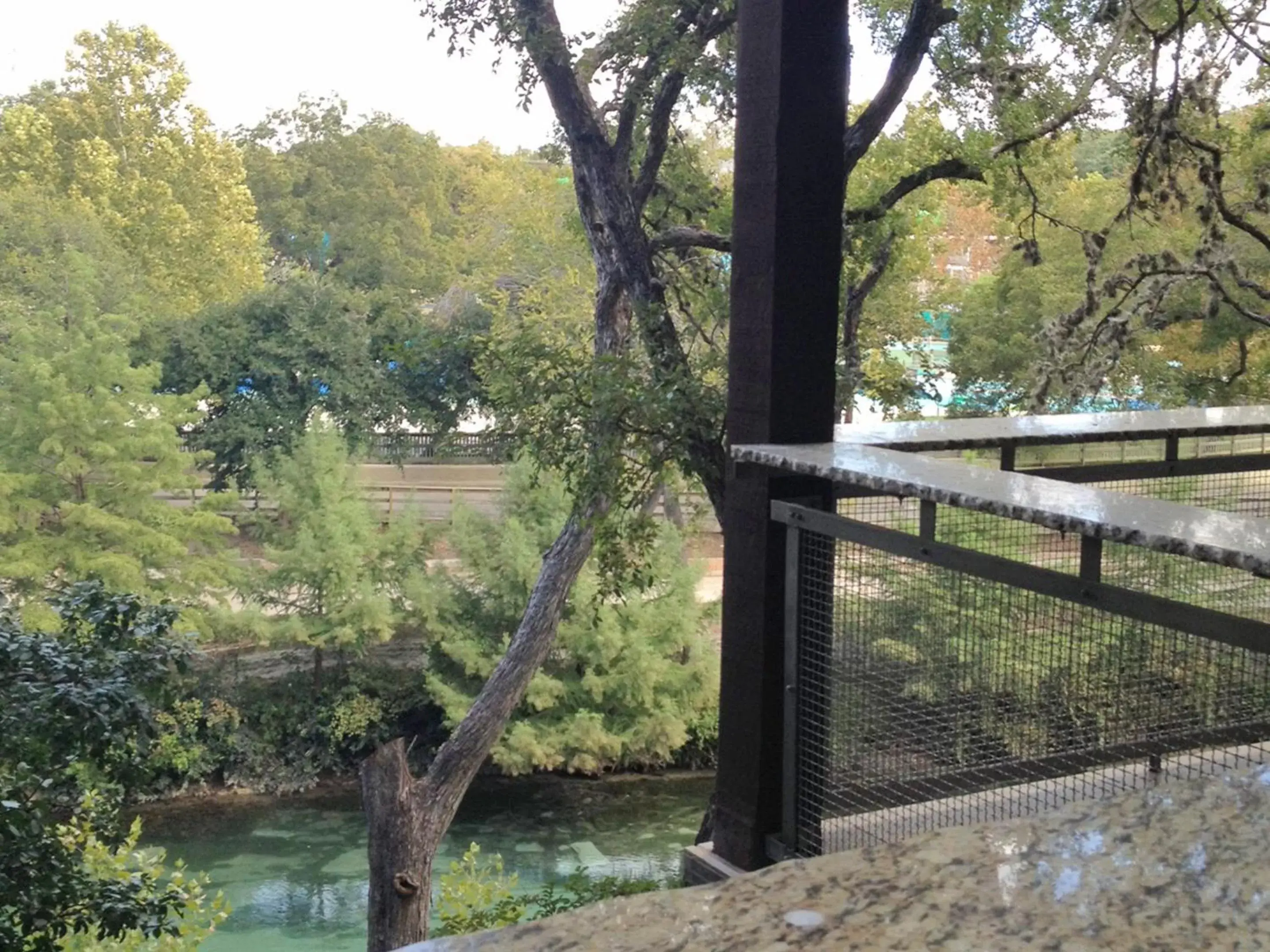 View (from property/room) in The Resort at Schlitterbahn