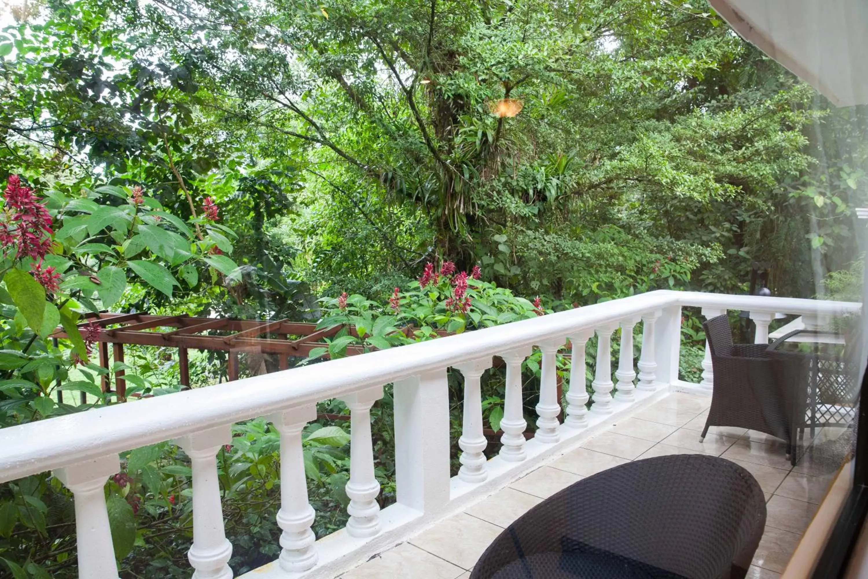 Balcony/Terrace in Tifakara Boutique Hotel & Birding Oasis