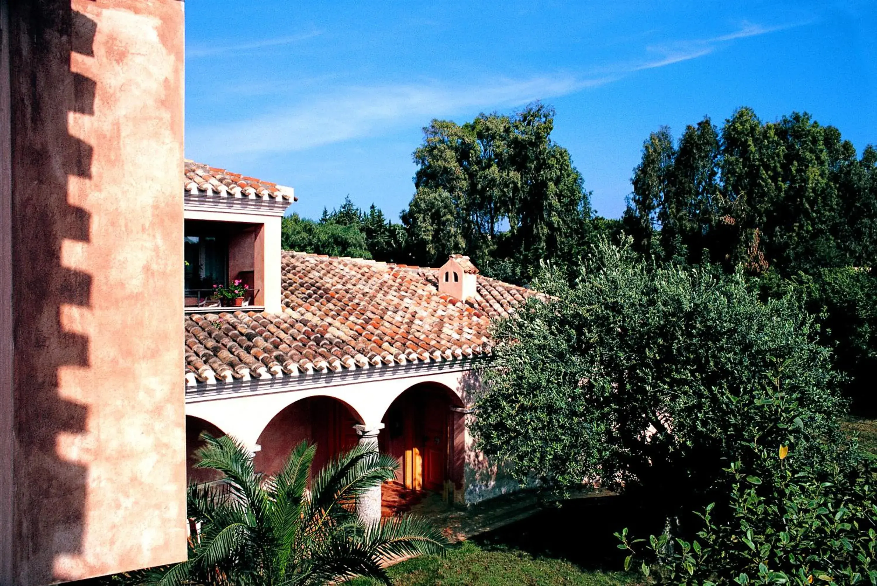 Garden view in Hotel Cala Caterina