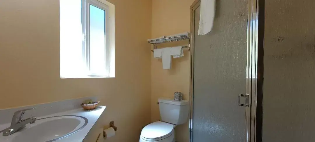 Shower, Bathroom in Lakeview Inn