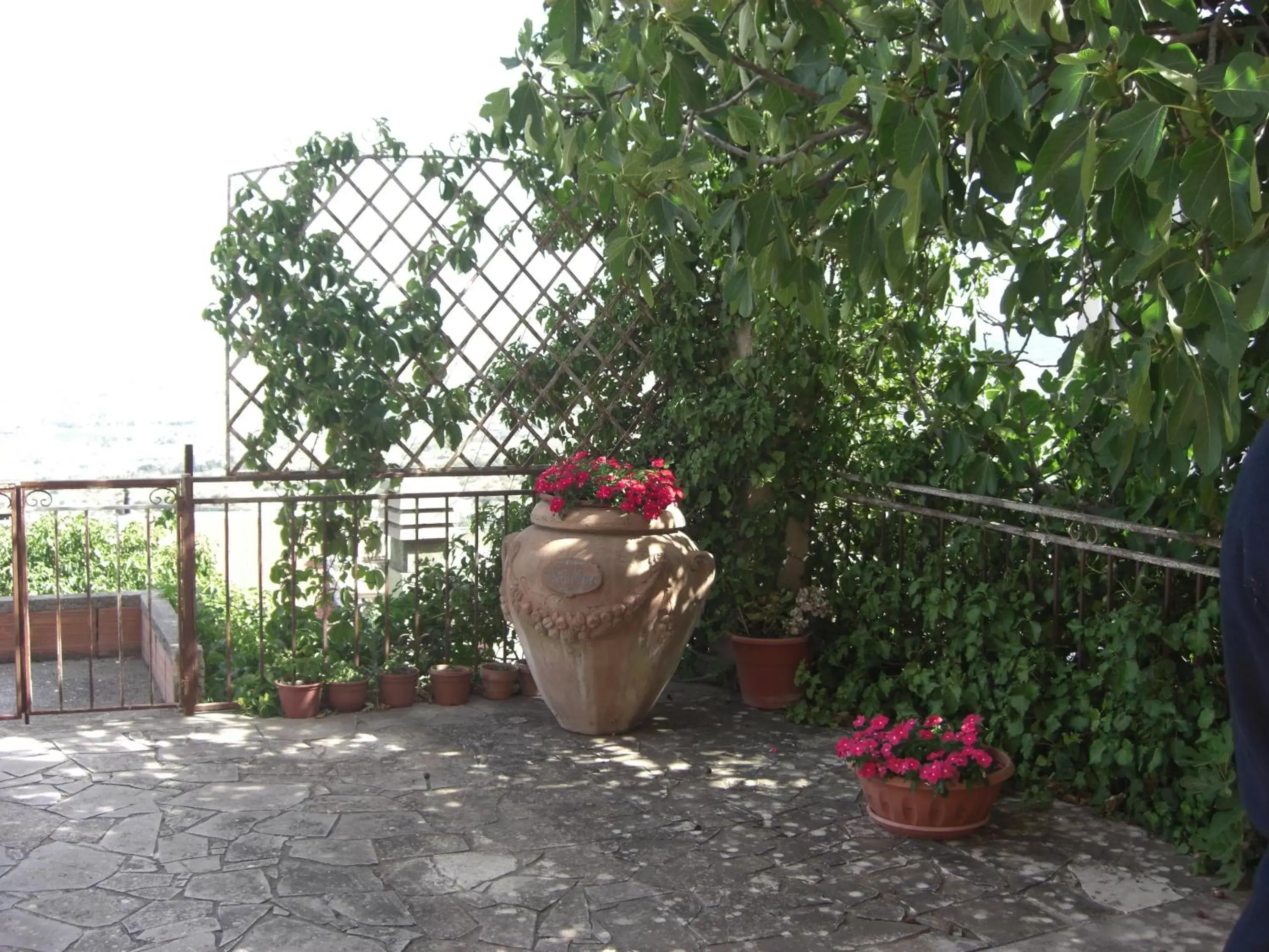 Balcony/Terrace in Albergo Villa Nobile