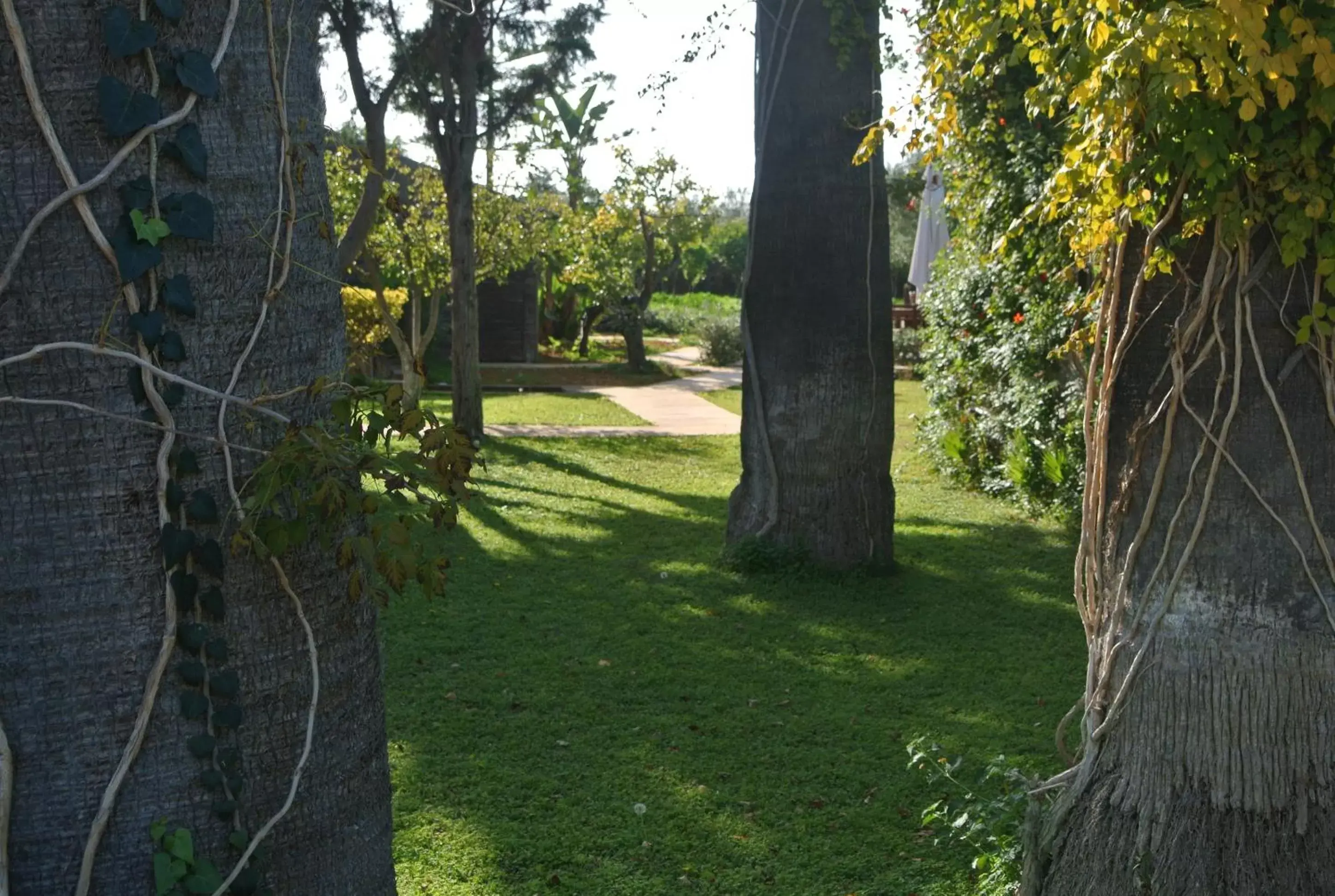 Garden in Villa Carlotta Resort