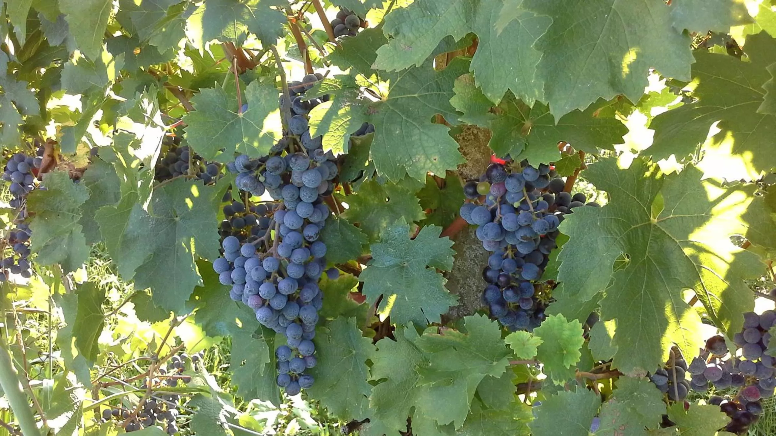 Landmark view in Agriturismo Le Giarine
