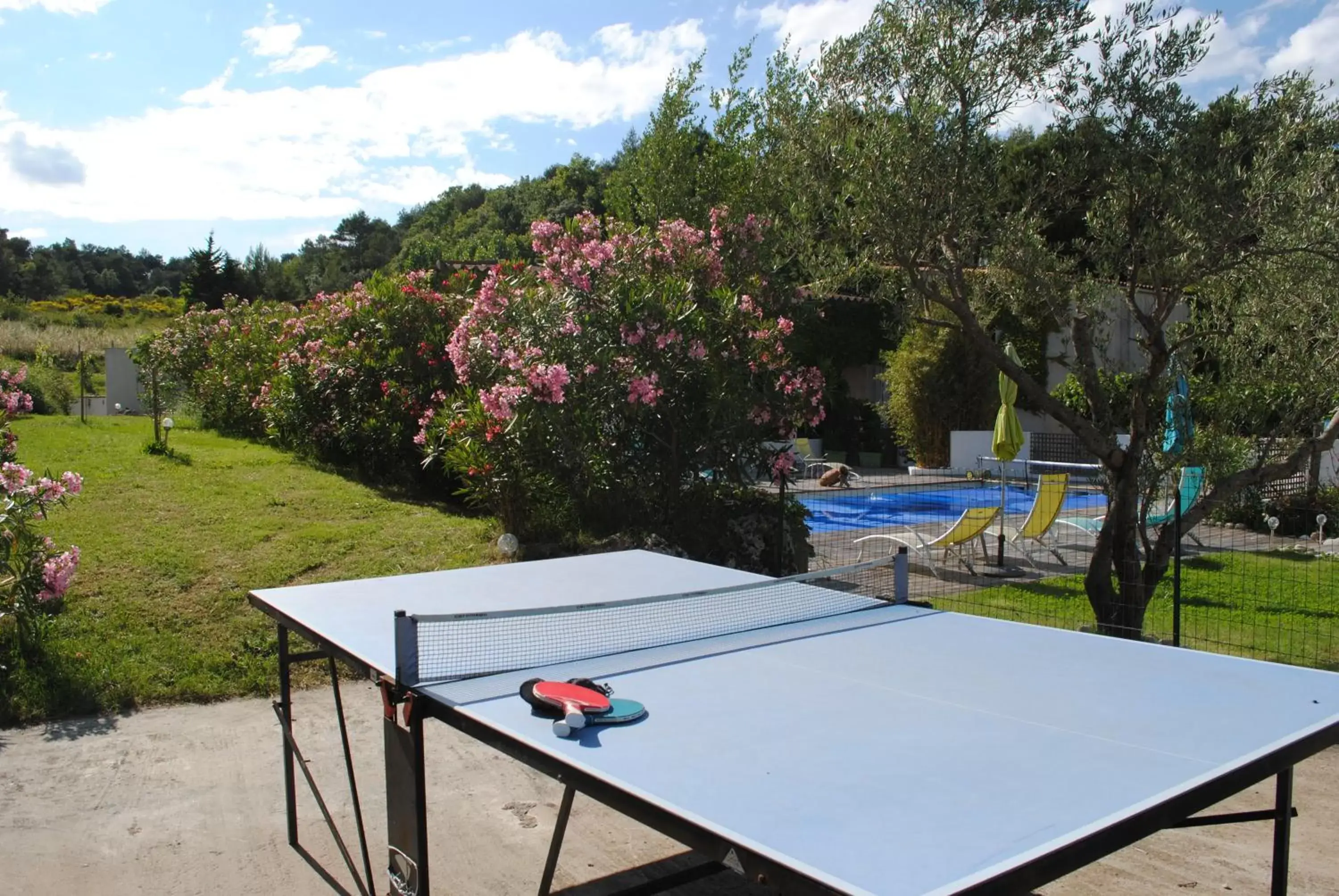 Table tennis, Pool View in Chambres d'hôtes & Spa le Relais de la Cavayere
