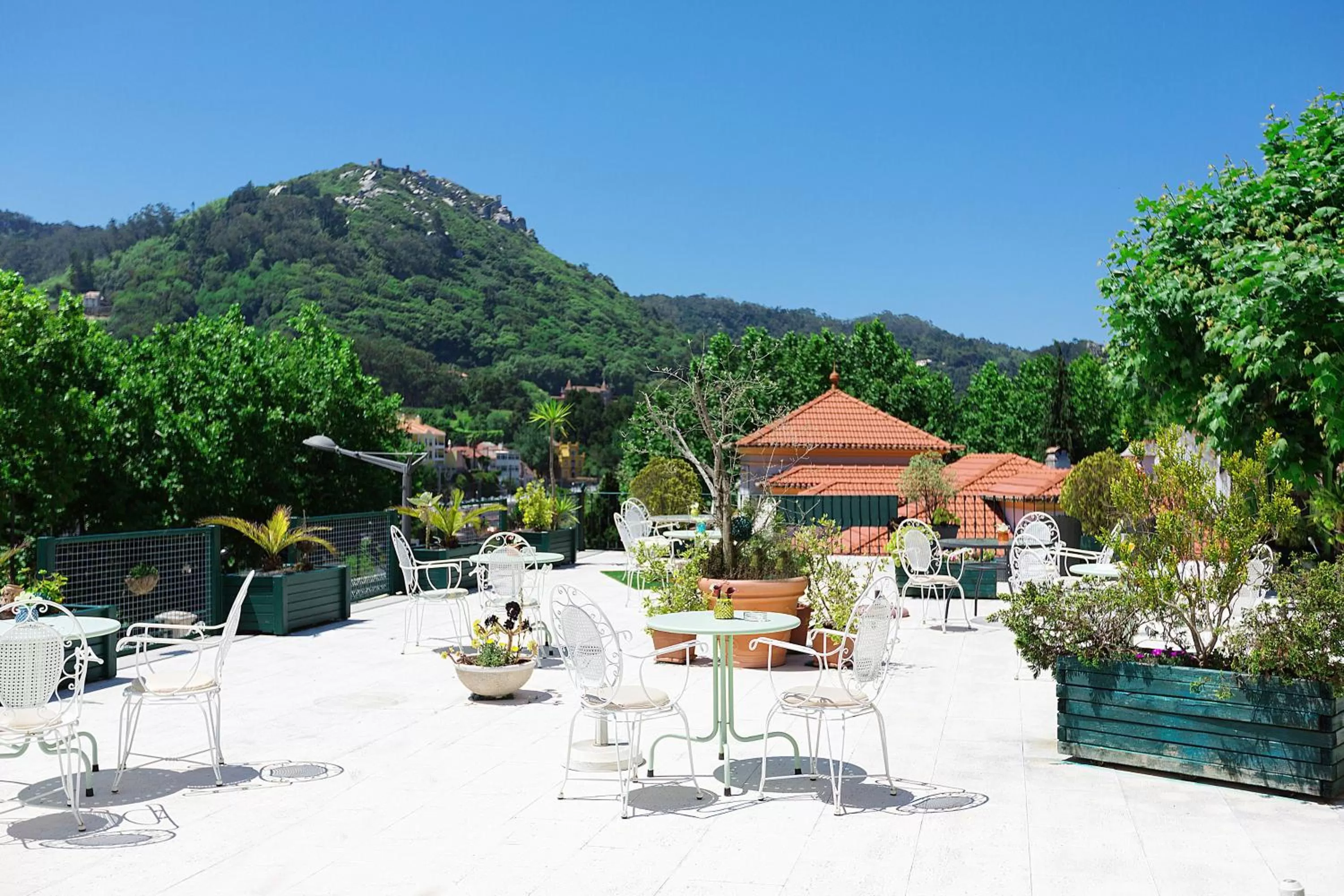 Garden in Hotel Nova Sintra - Adults only