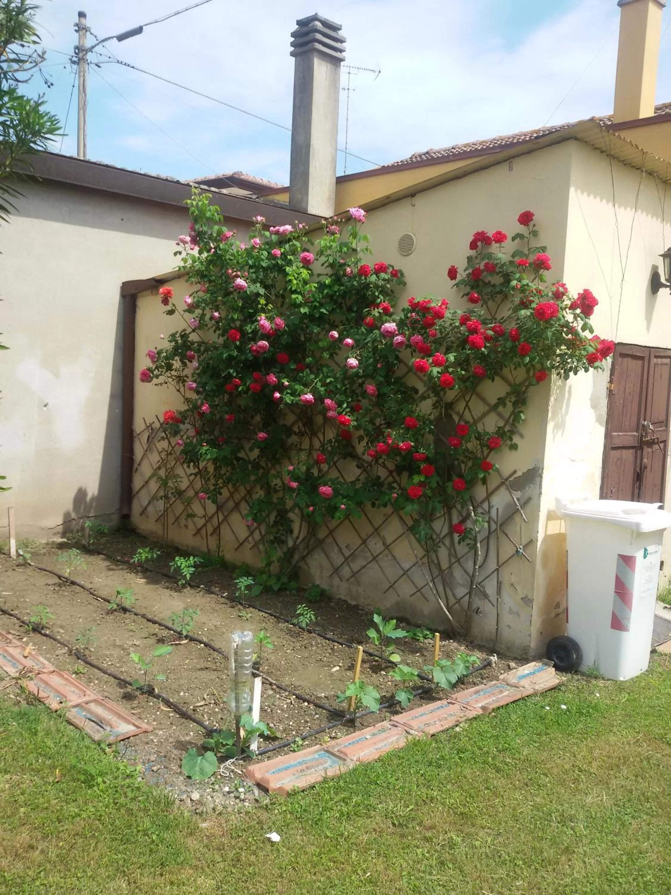 Garden in Bed And Breakfast Di Manu