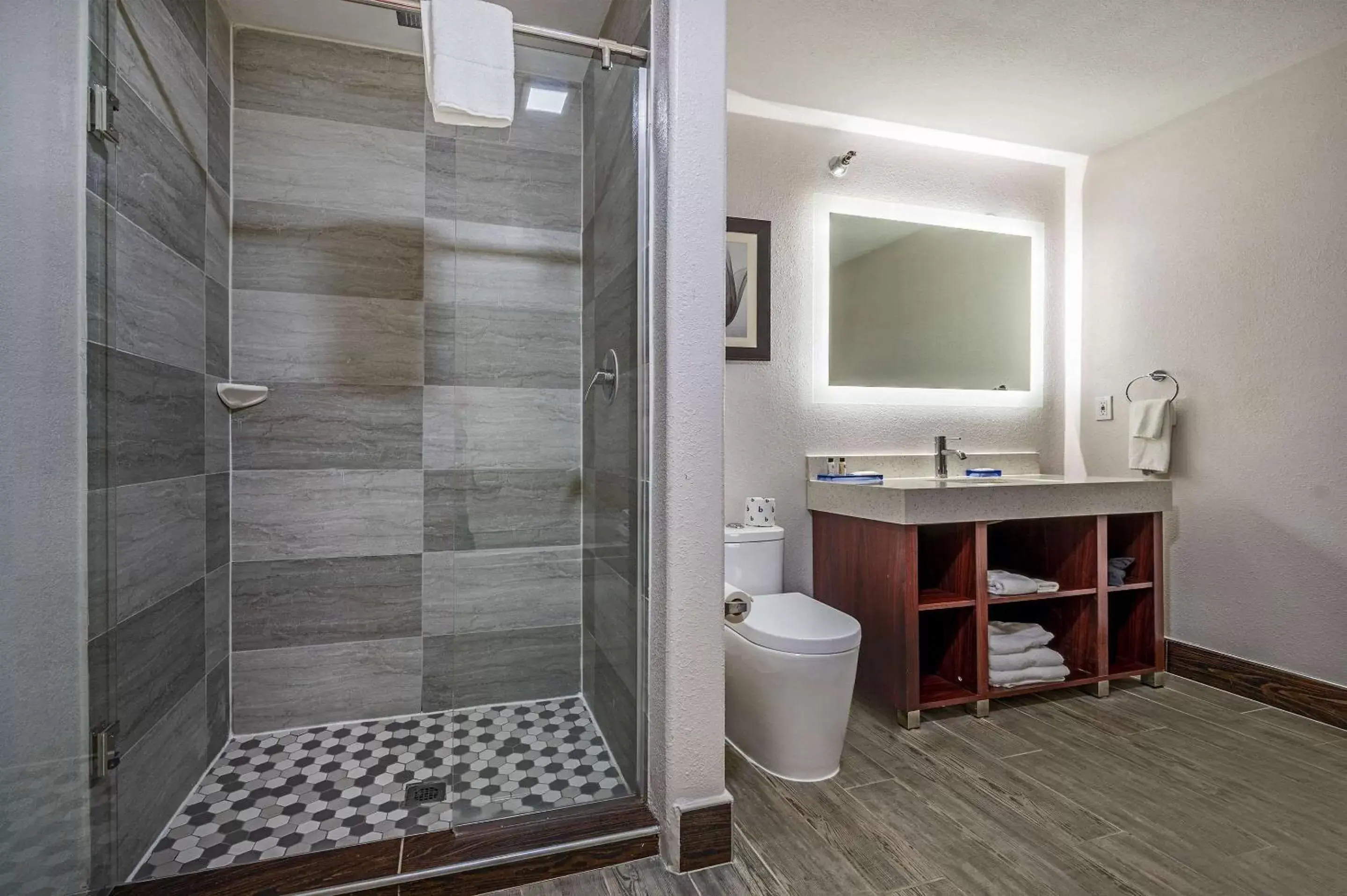 Bathroom in The Leo Collection Detroit, Ascend Hotel Collection