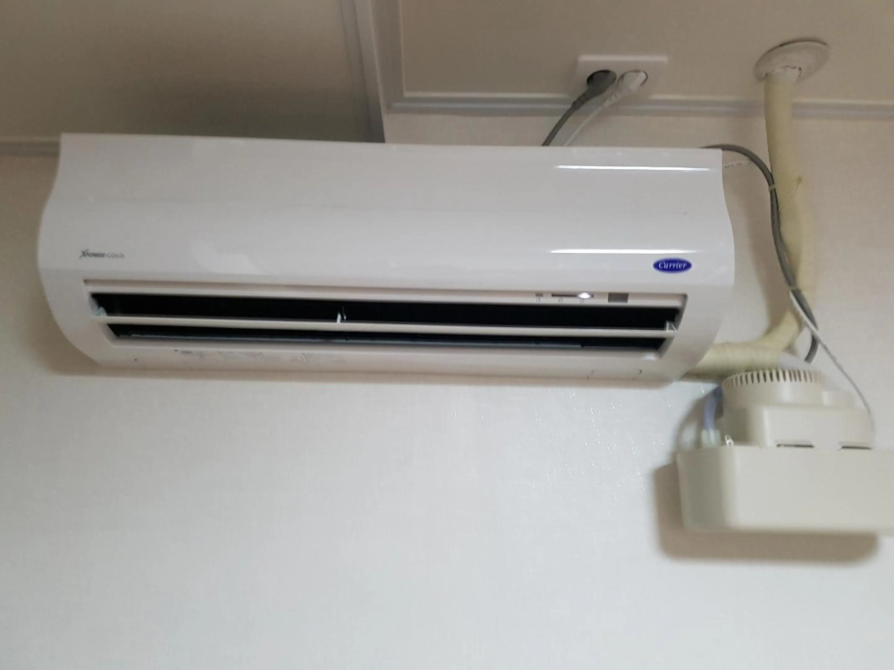 Other in Kimchee Busan Downtown Guesthouse