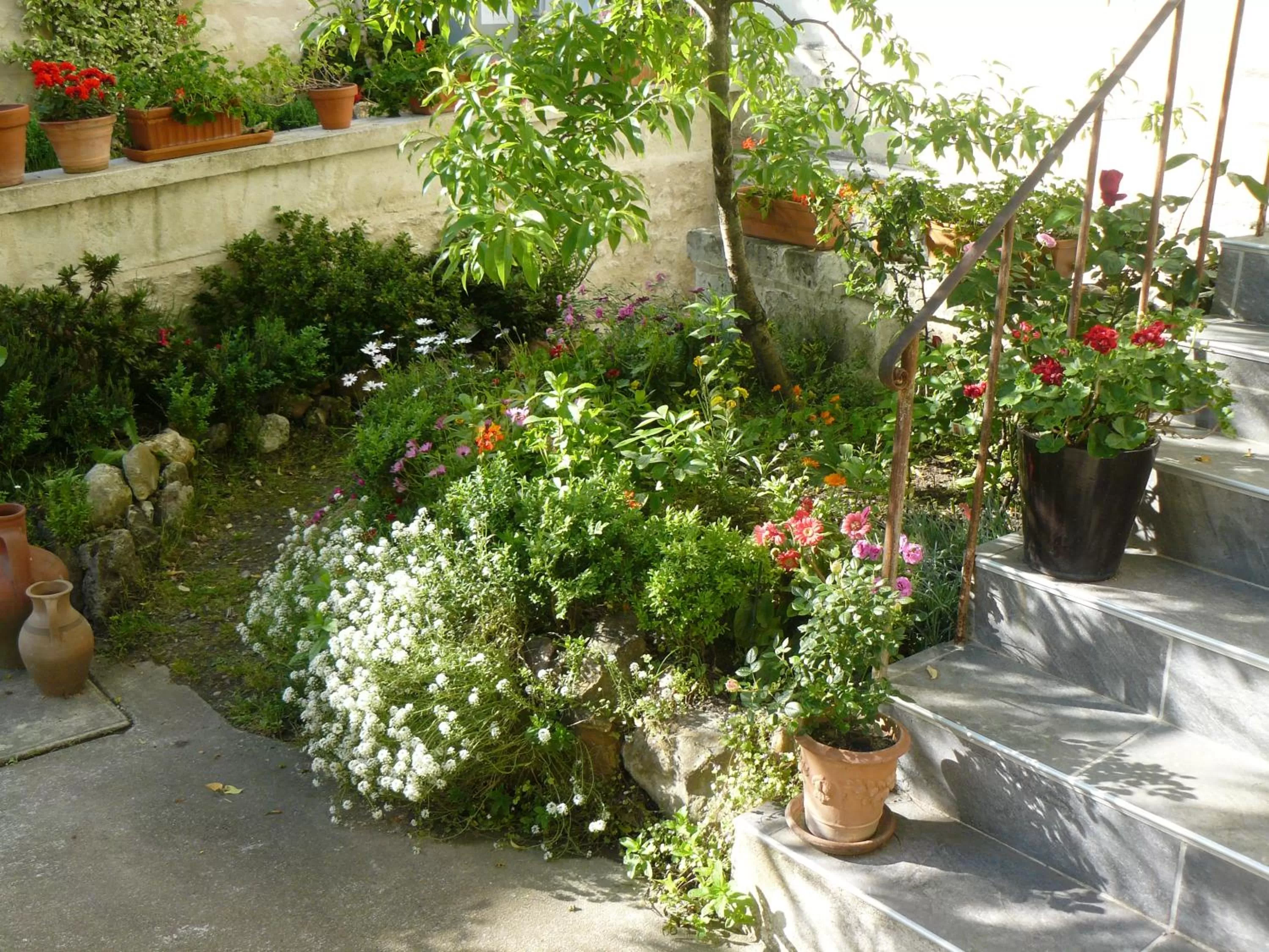 Garden in La Maison de Saumur