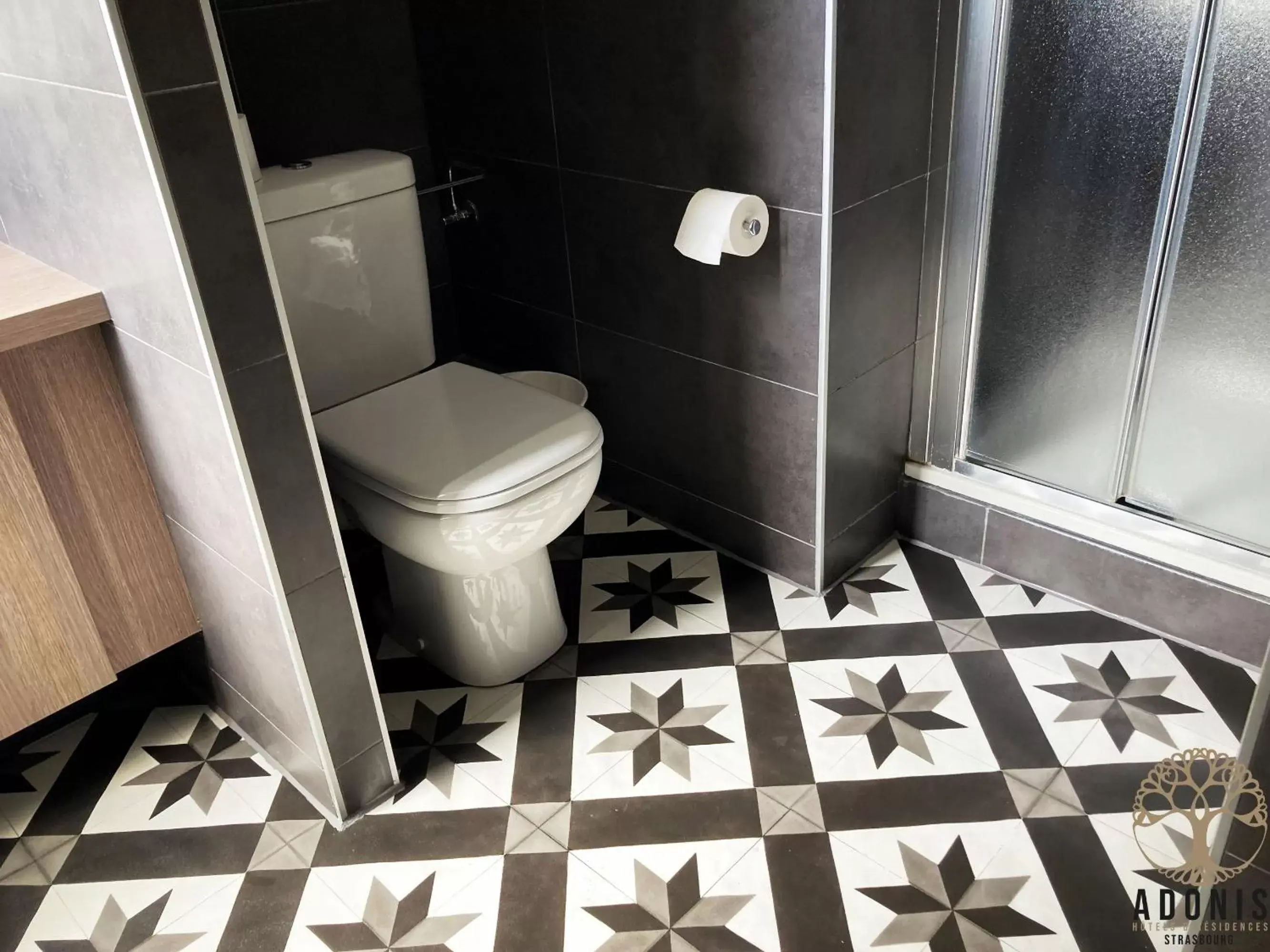 Toilet, Bathroom in Adonis Hotel Strasbourg