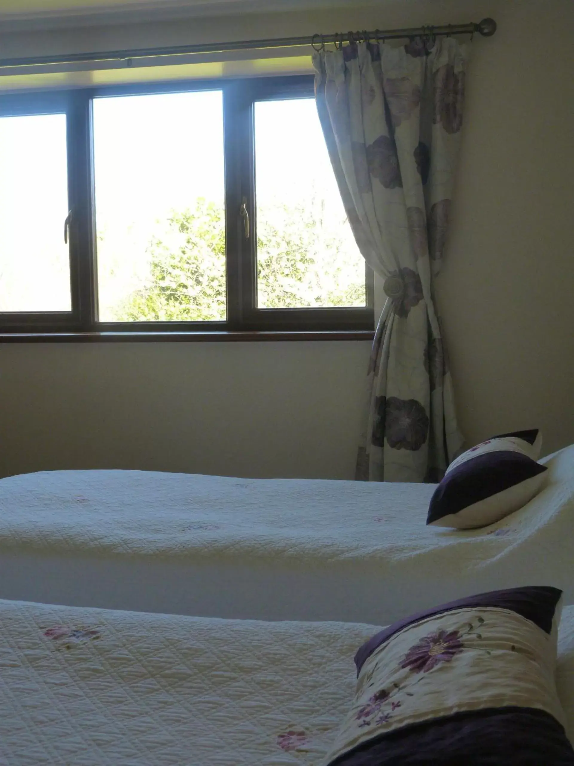 Bed in Cameley Lodge - Self Catering