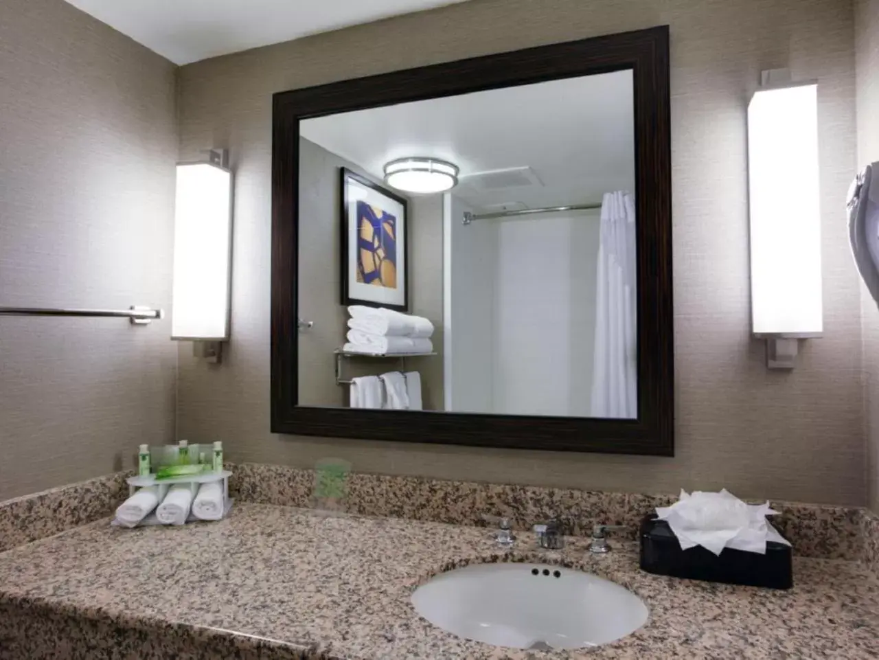 Bathroom in Holiday Inn Express Hotel & Suites Meadowlands Area, an IHG Hotel