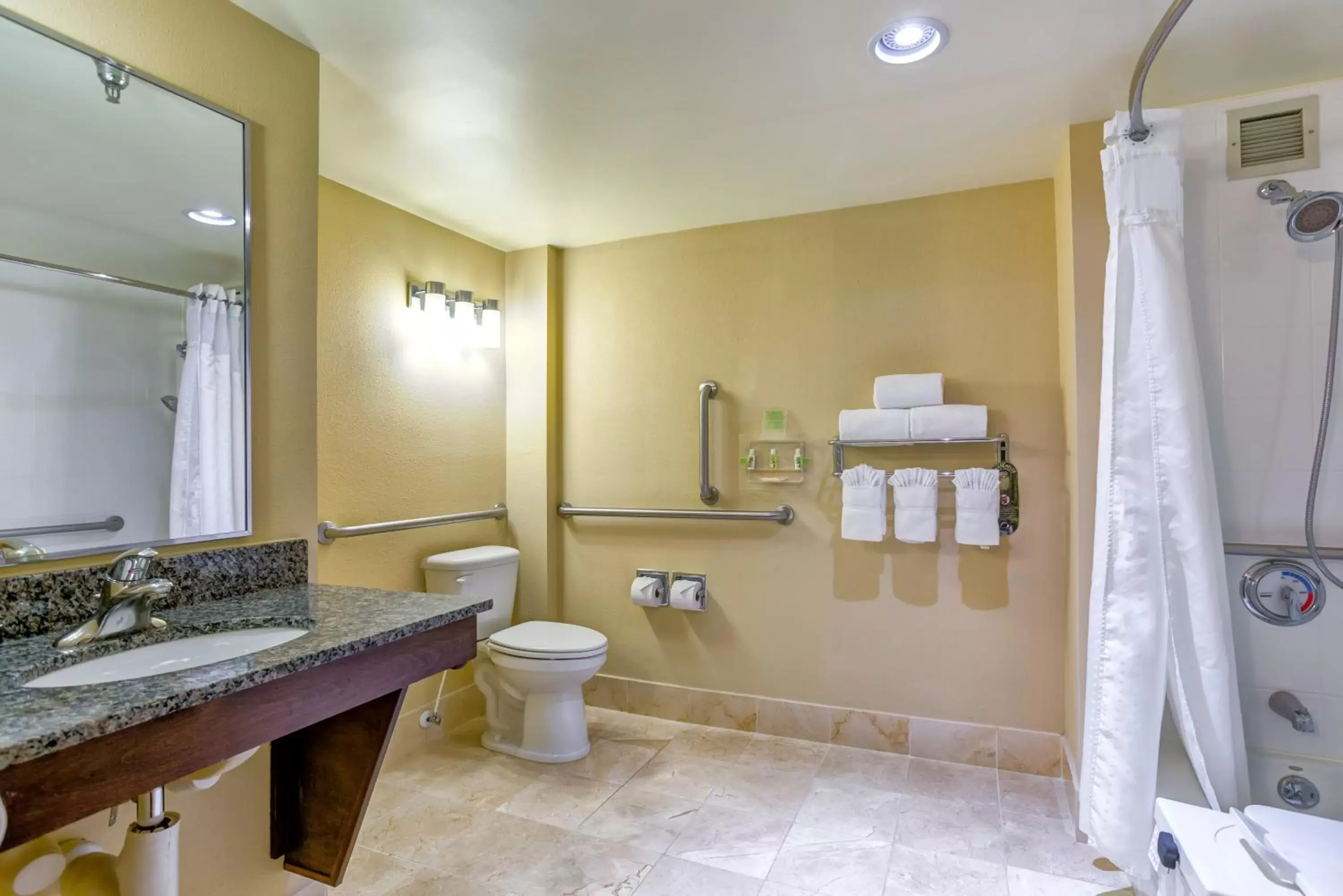 Bathroom in Holiday Inn Indianapolis North-Carmel, an IHG Hotel