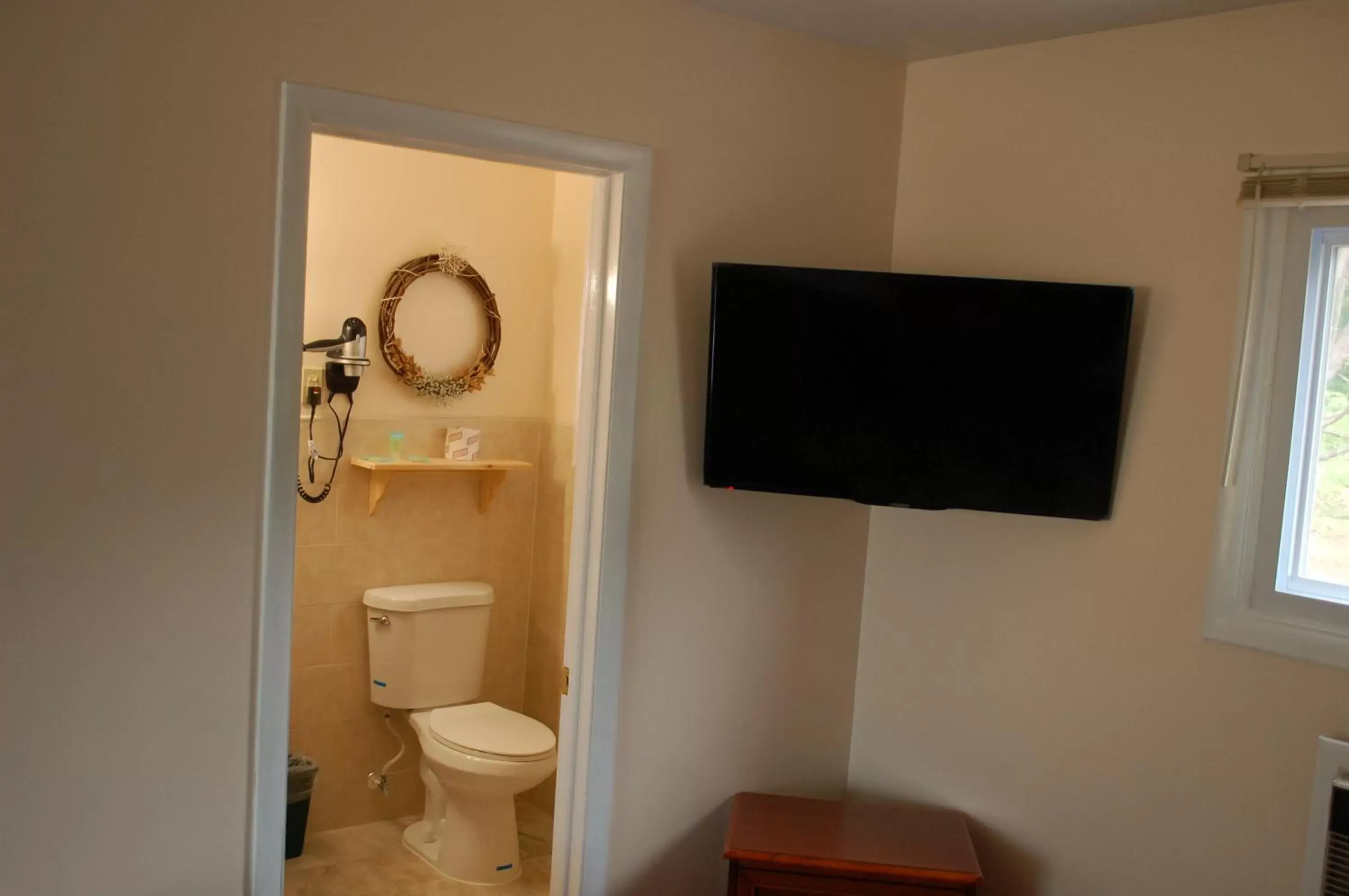 Bathroom, TV/Entertainment Center in Sara Glen Motel - Saratoga Springs-Glens Falls