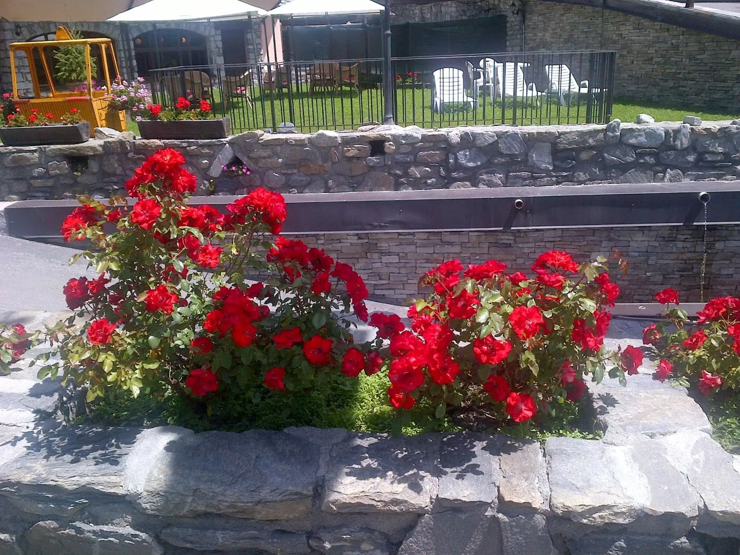 Garden in iH Hotels Courmayeur Mont Blanc