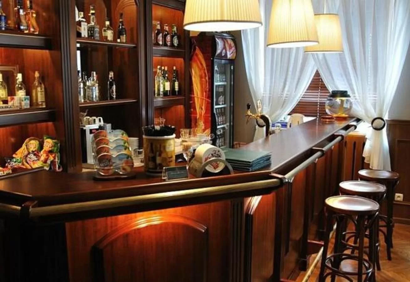 Lounge or bar in Hotel Iskra